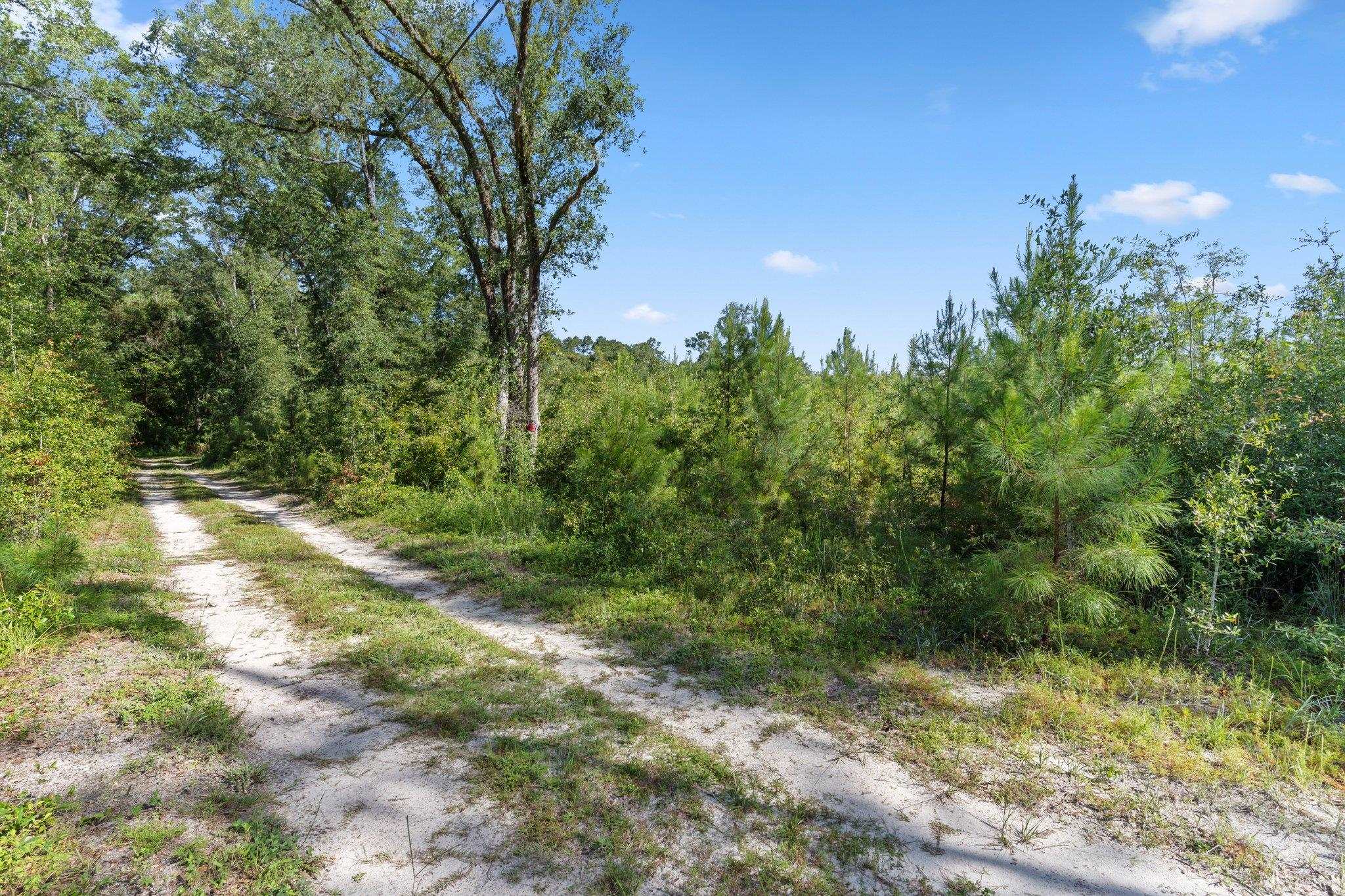 4778 Emanuel Lane, Tallahassee, Florida image 9