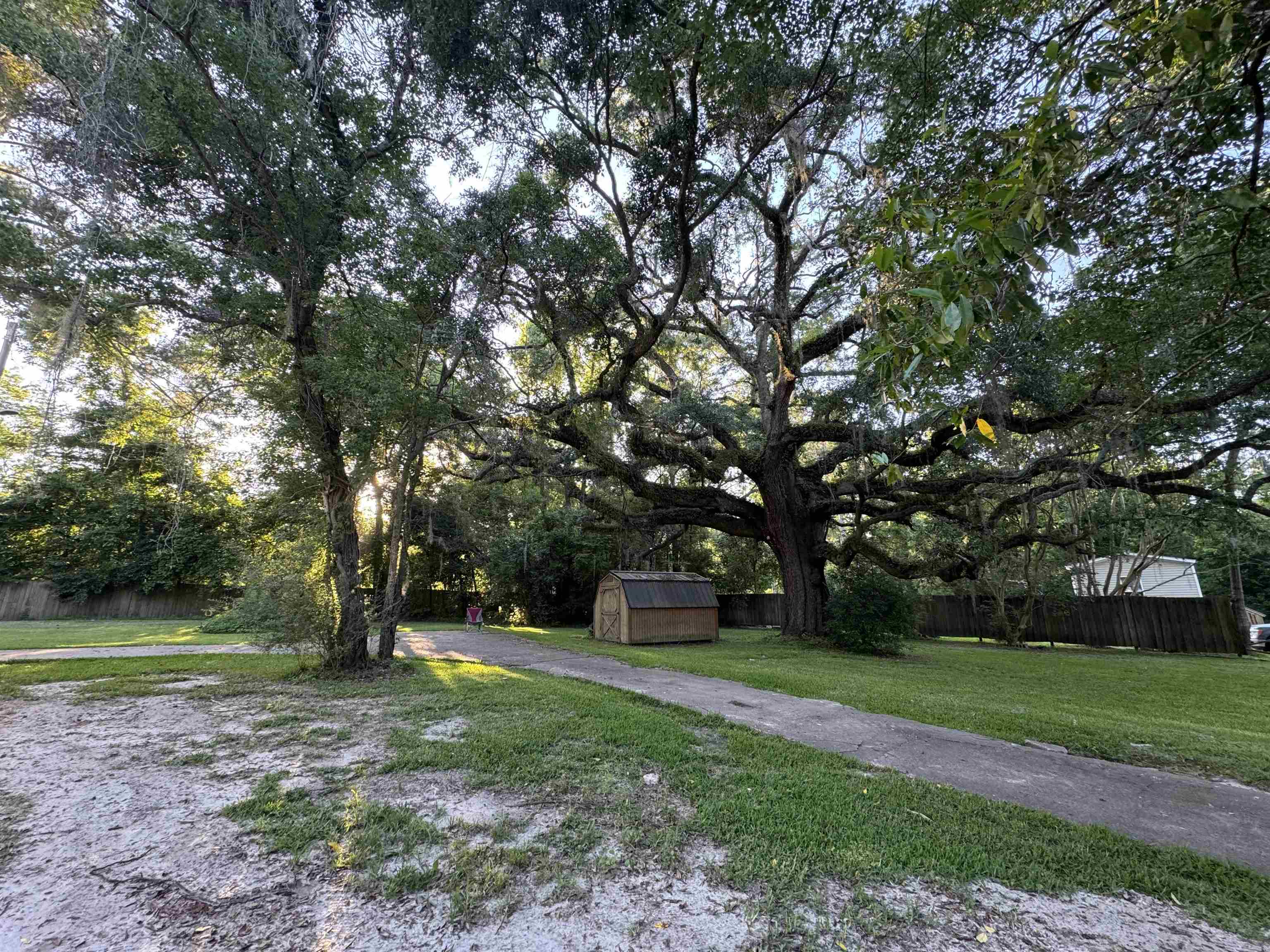 1385 Florida Avenue, Monticello, Florida image 3