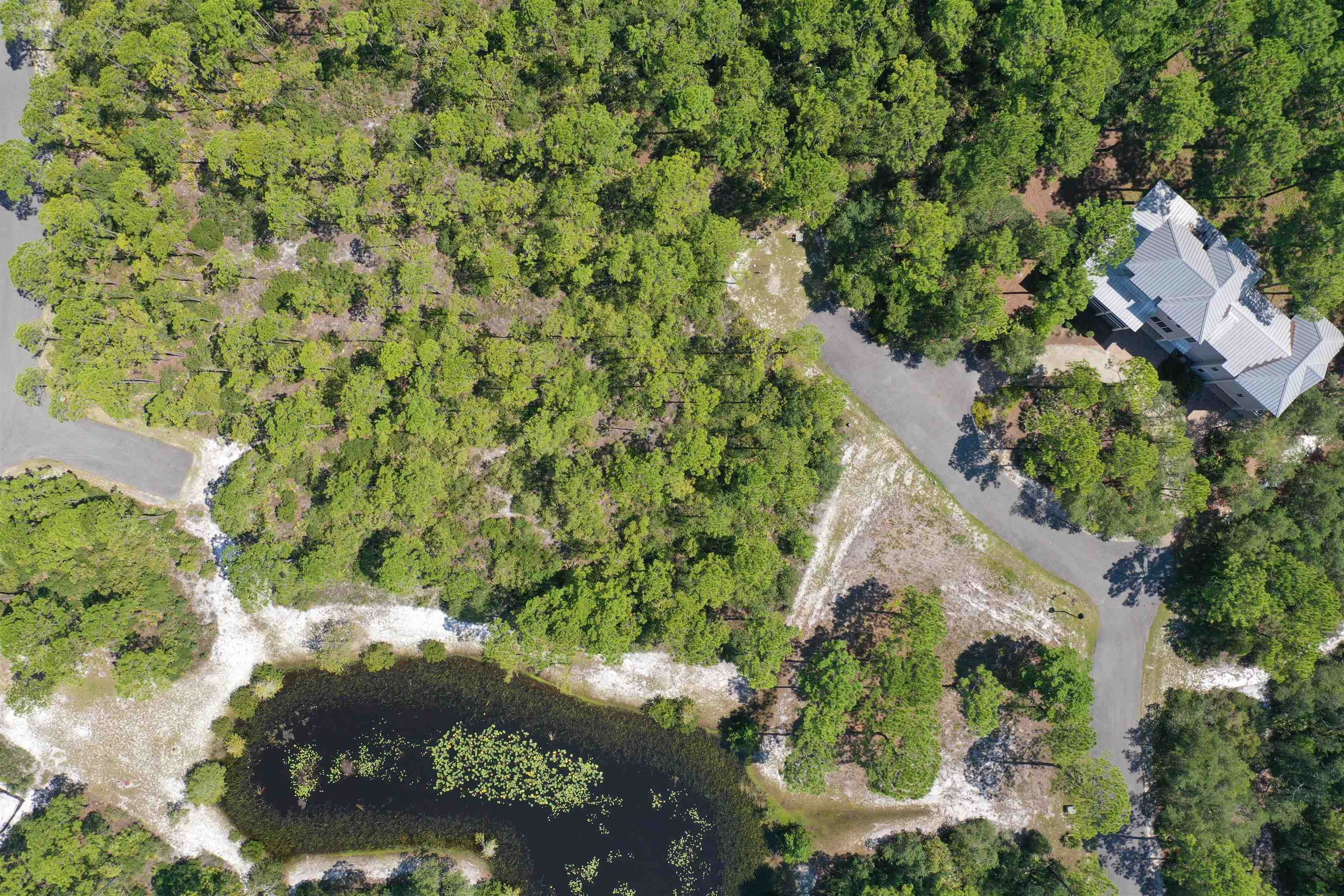 130 Doo-dah Lane #LOT 381 - EAST, ST TERESA, Florida image 11