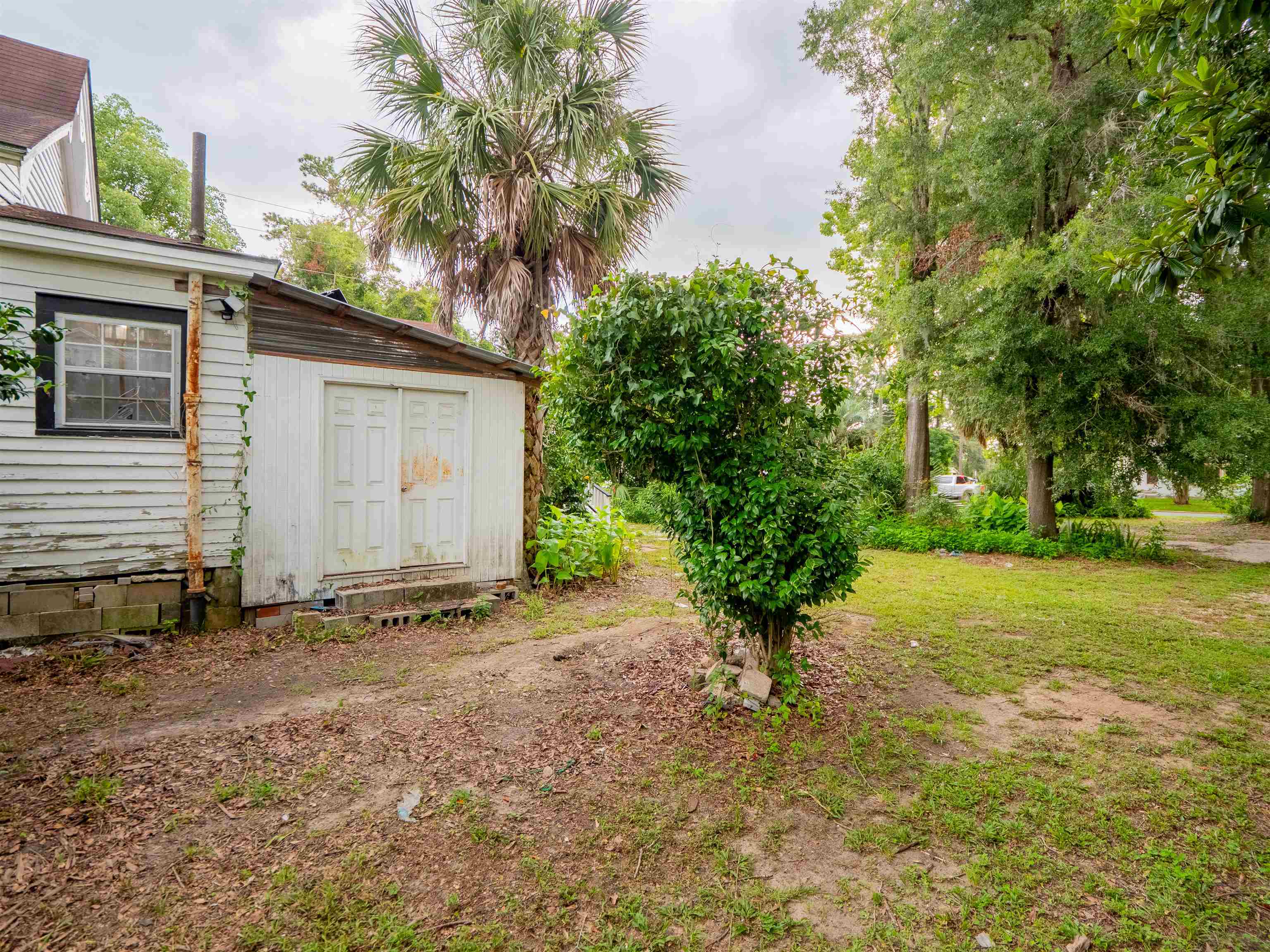 113 NE Haynes Street, MADISON, Florida image 29