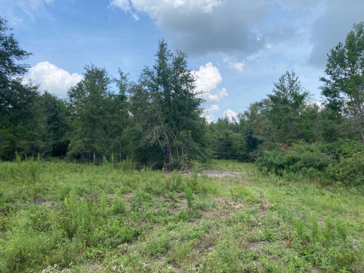 Vacant SE Parliament Trail, Lee, Florida image 3