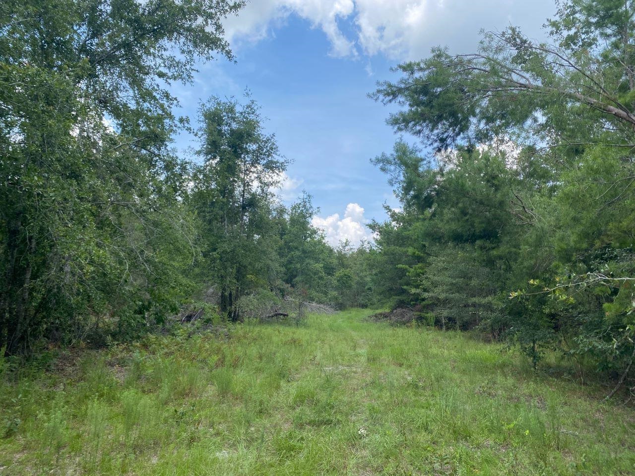 Vacant SE Parliament Trail, Lee, Florida image 4