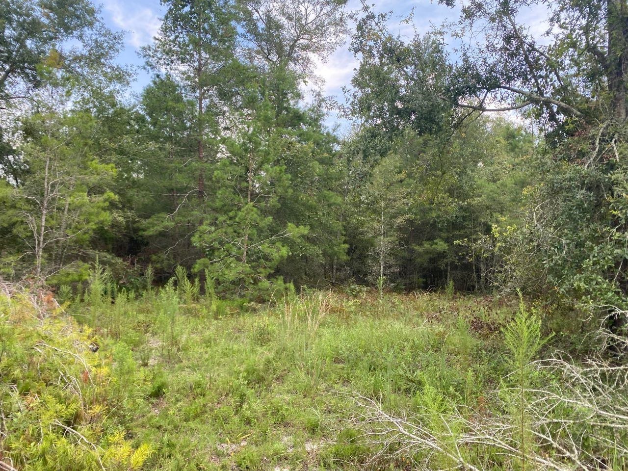 Vacant SE Parliament Trail, Lee, Florida image 7