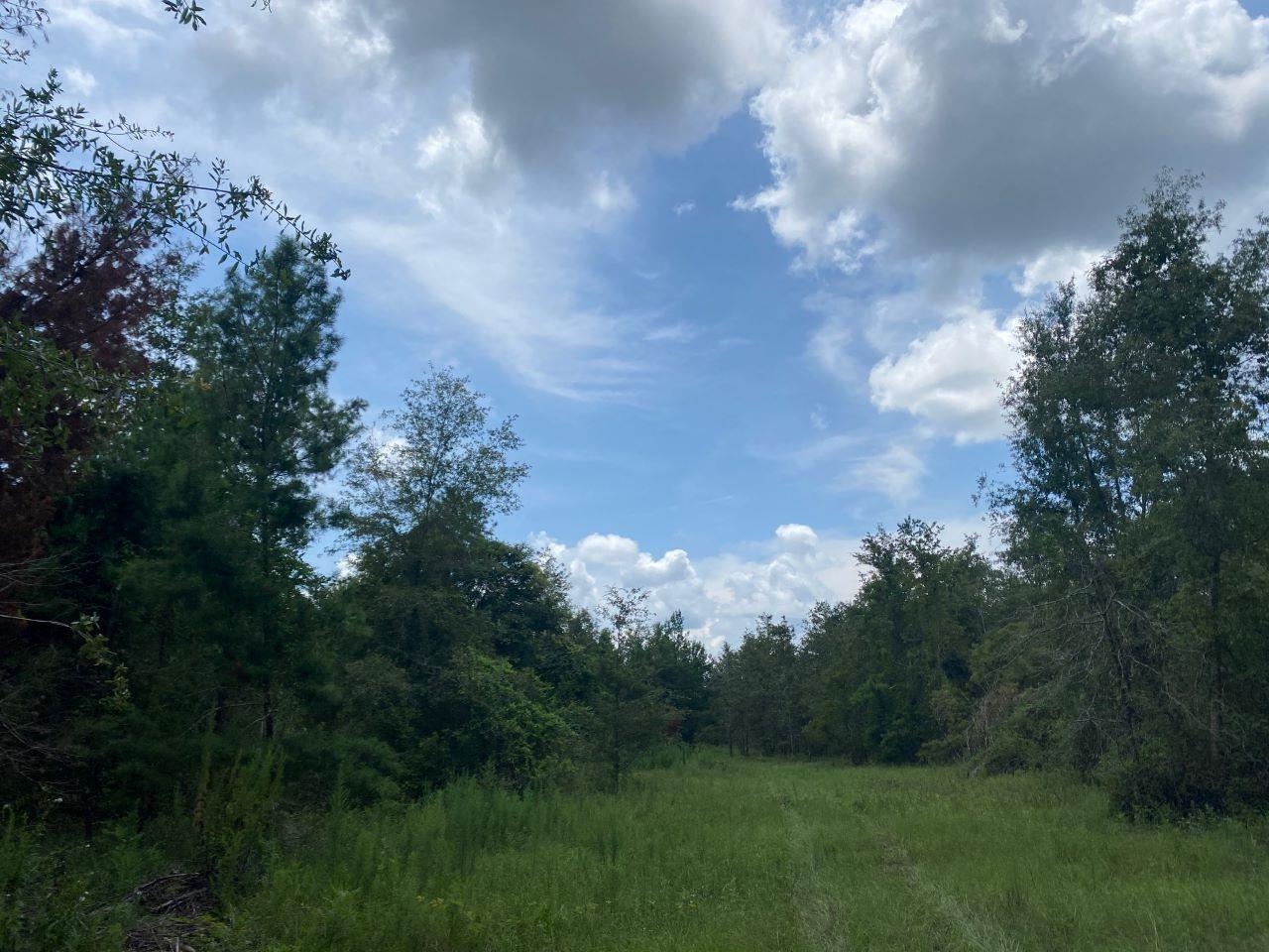 Vacant SE Parliament Trail, Lee, Florida image 9