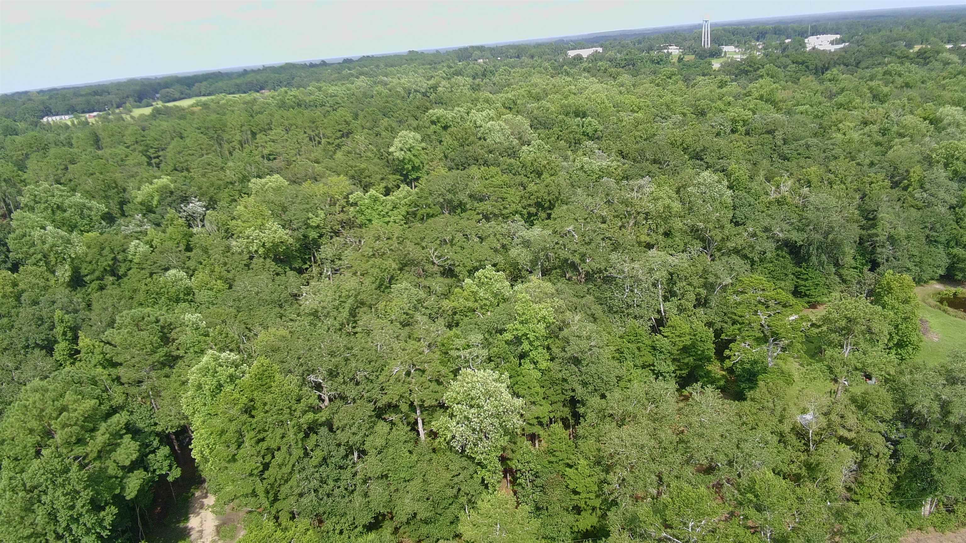 1024 Vista Road, Monticello, Florida image 3
