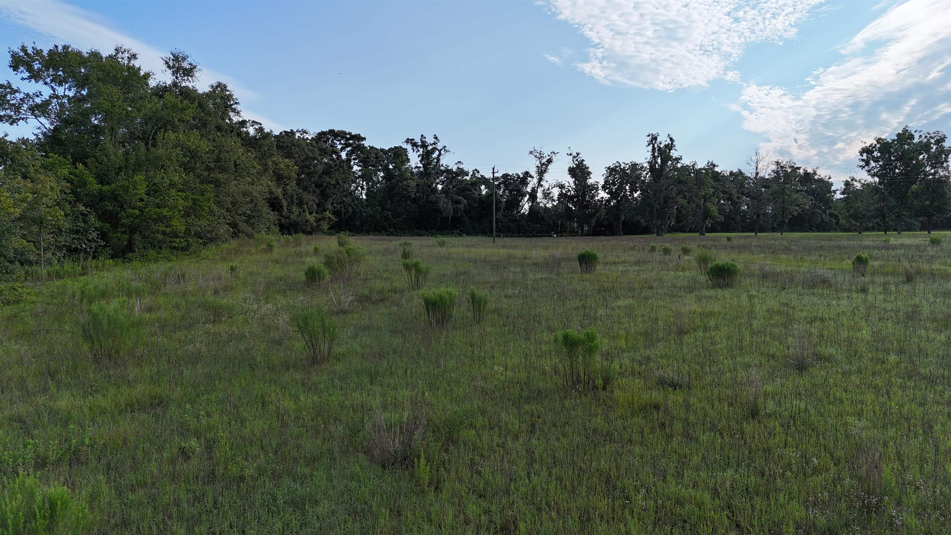 Parcel #1 NW Cr 143, JENNINGS, Florida image 17