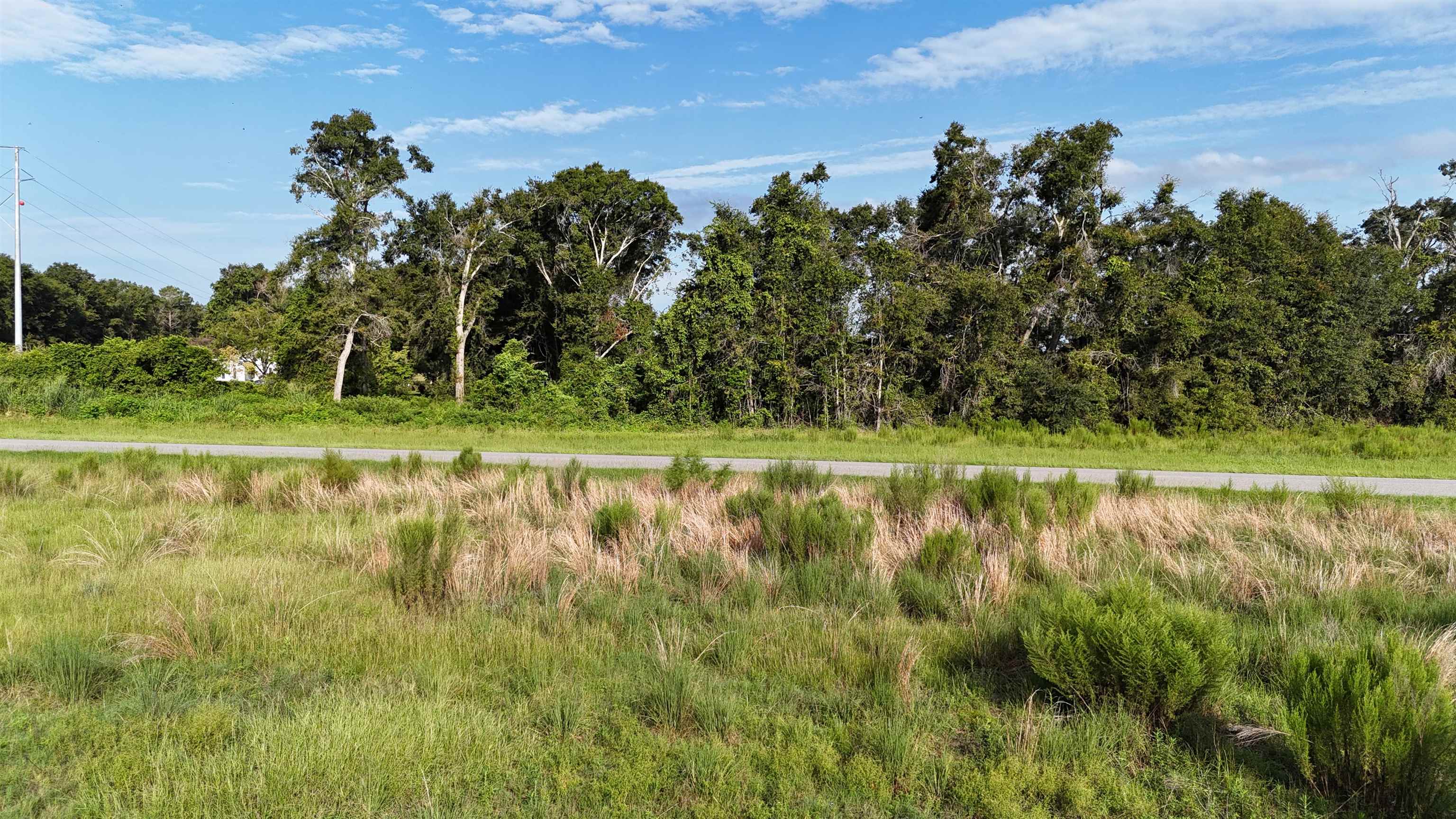 Parcel #2 NW Cr 143, JENNINGS, Florida image 6