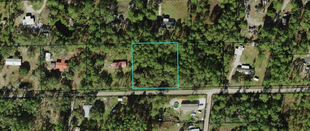 133 West Drive, Carrabelle, Florida image 1