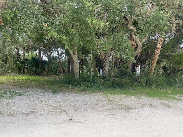 Xxx Beaty Taff, Crawfordville, Florida image 10