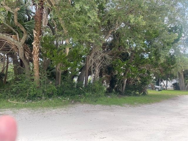Xxx Beaty Taff, Crawfordville, Florida image 11