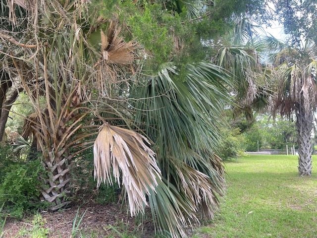 Xxx Beaty Taff, Crawfordville, Florida image 5