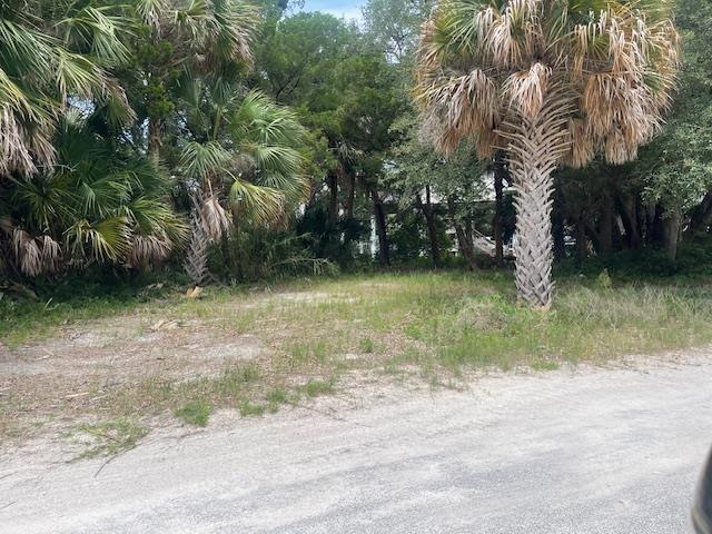 Xxx Beaty Taff, Crawfordville, Florida image 9