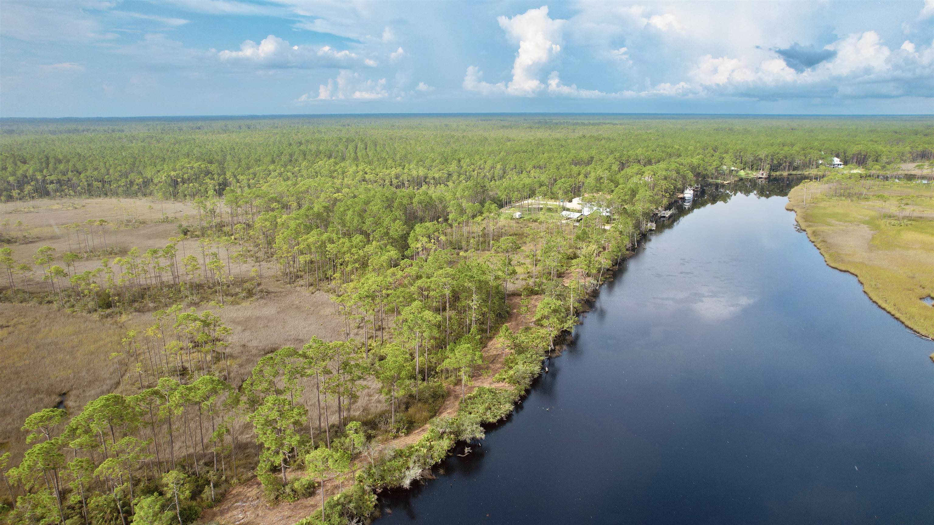 XX Mill Road, Carrabelle, Florida image 11