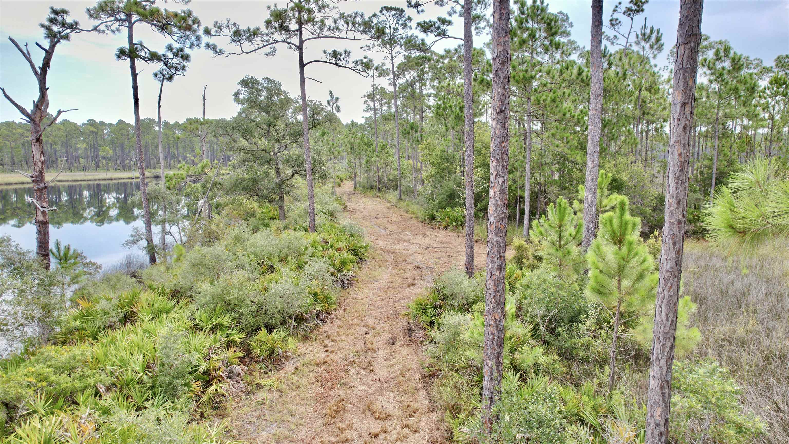 XX Mill Road, Carrabelle, Florida image 16