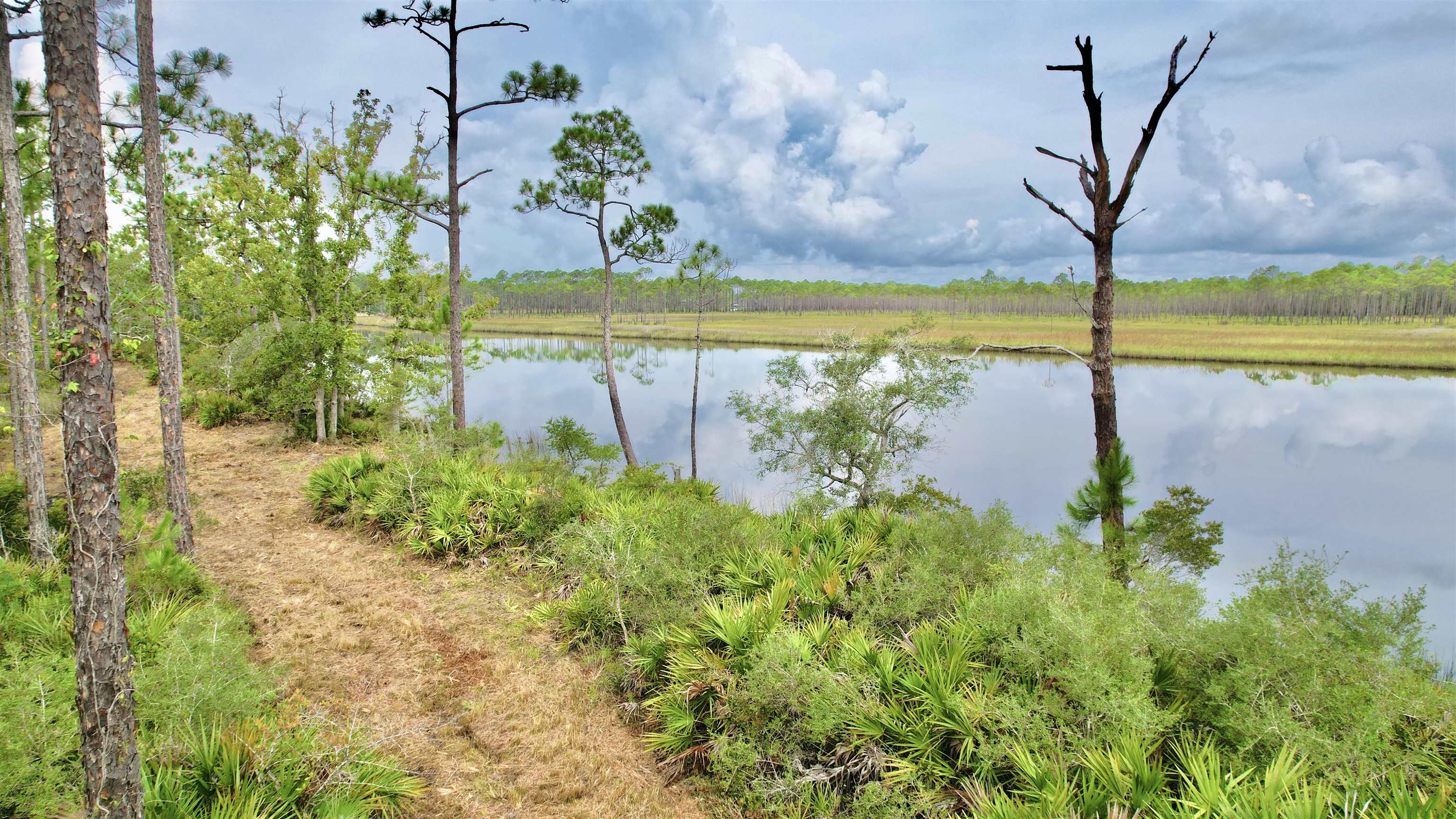 XX Mill Road, Carrabelle, Florida image 17