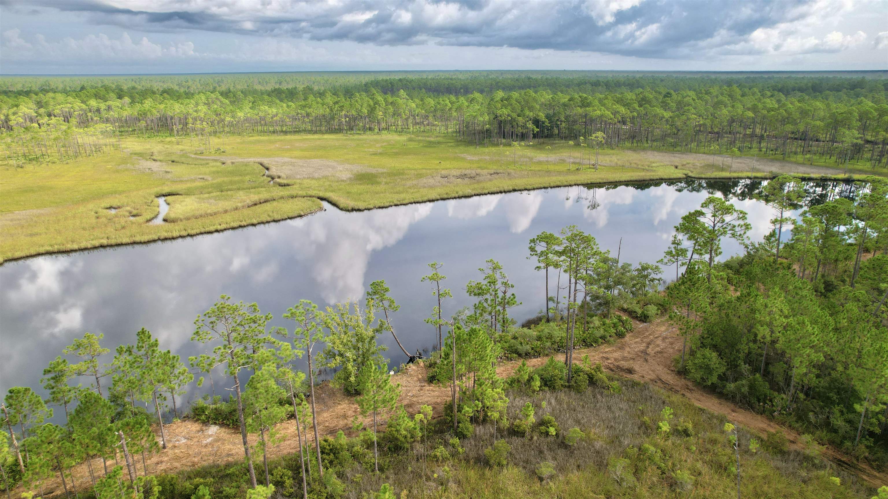 XX Mill Road, CARRABELLE, Florida image 3