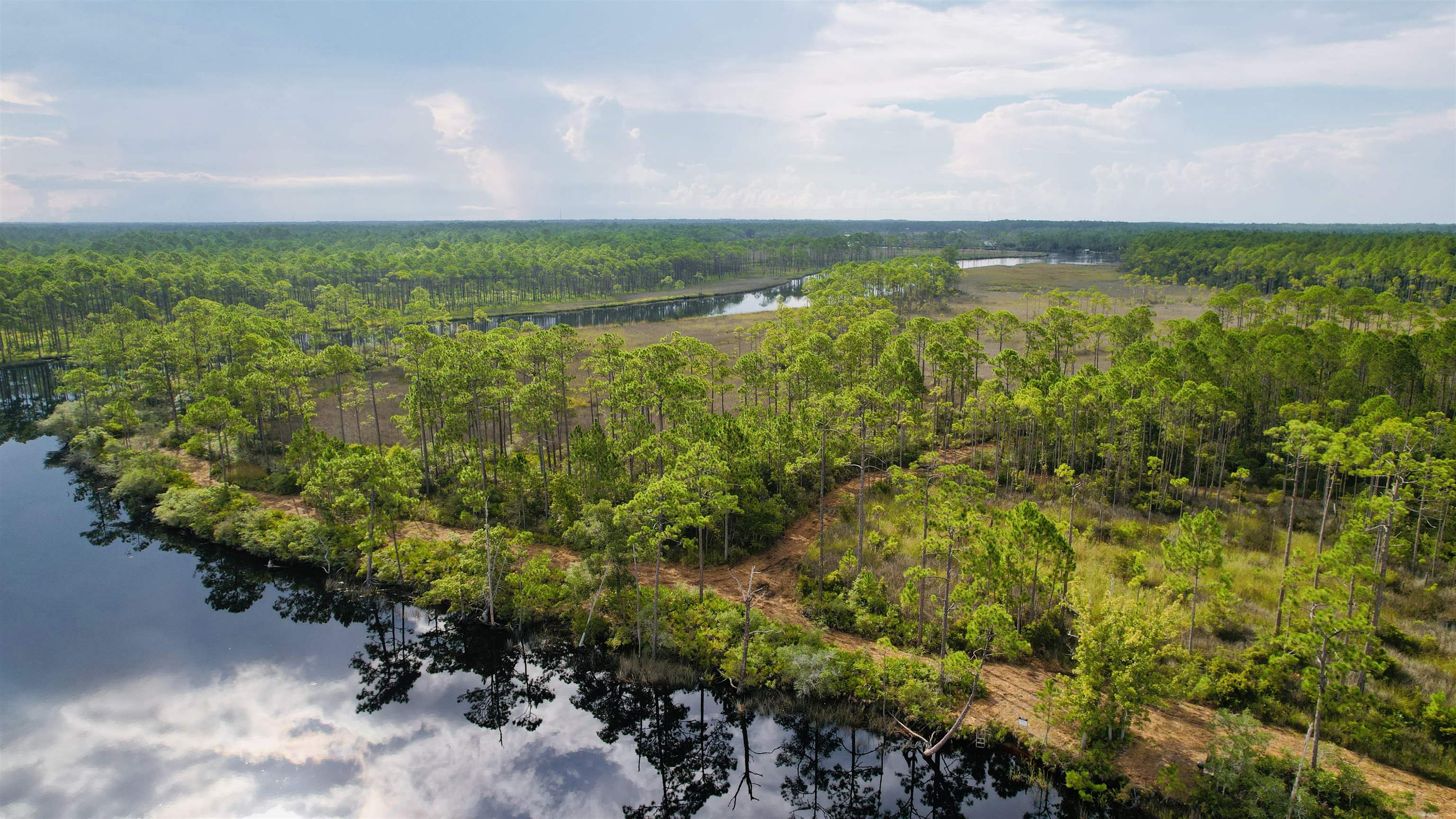 XX Mill Road, CARRABELLE, Florida image 4