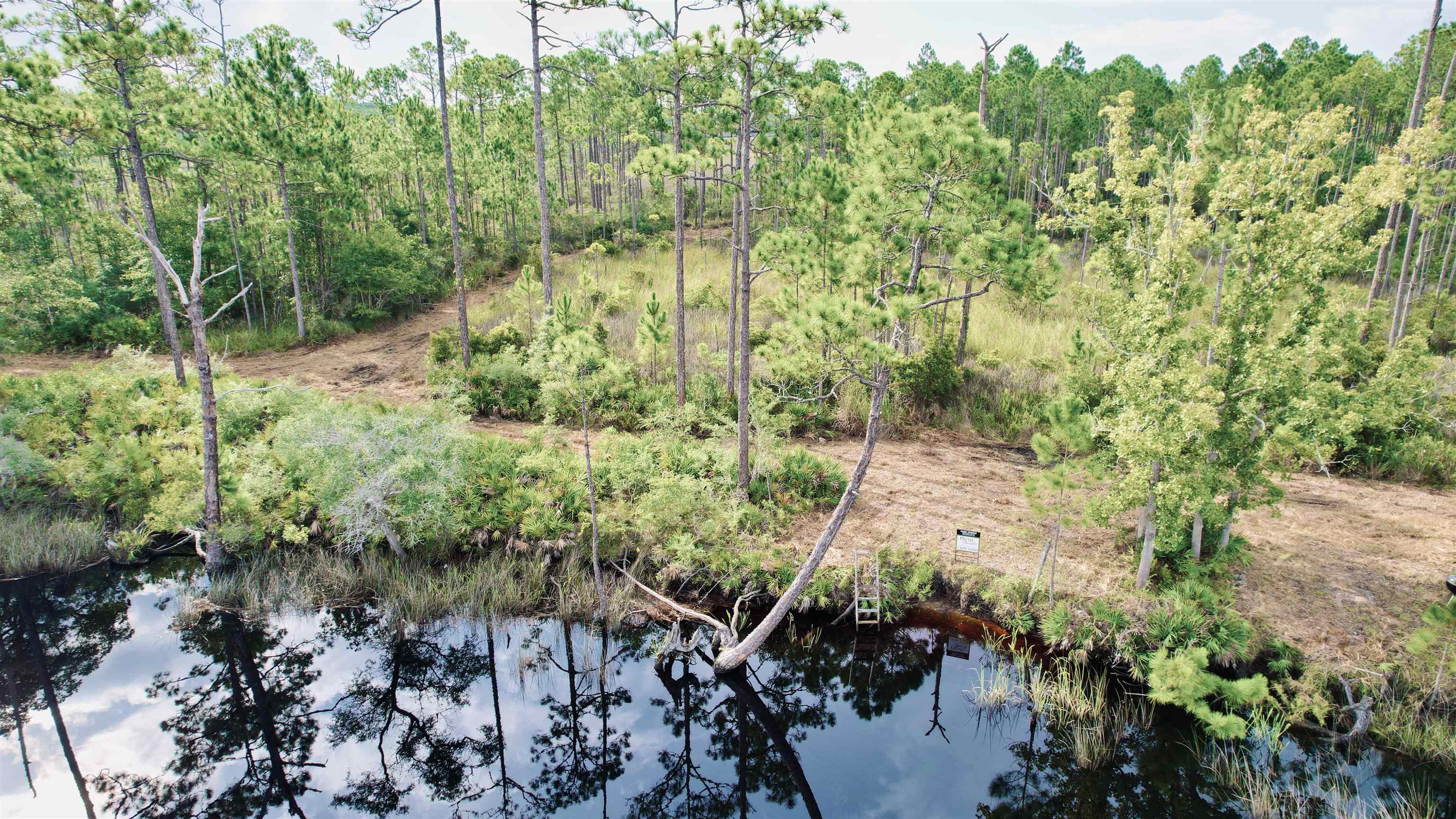 XX Mill Road, Carrabelle, Florida image 6