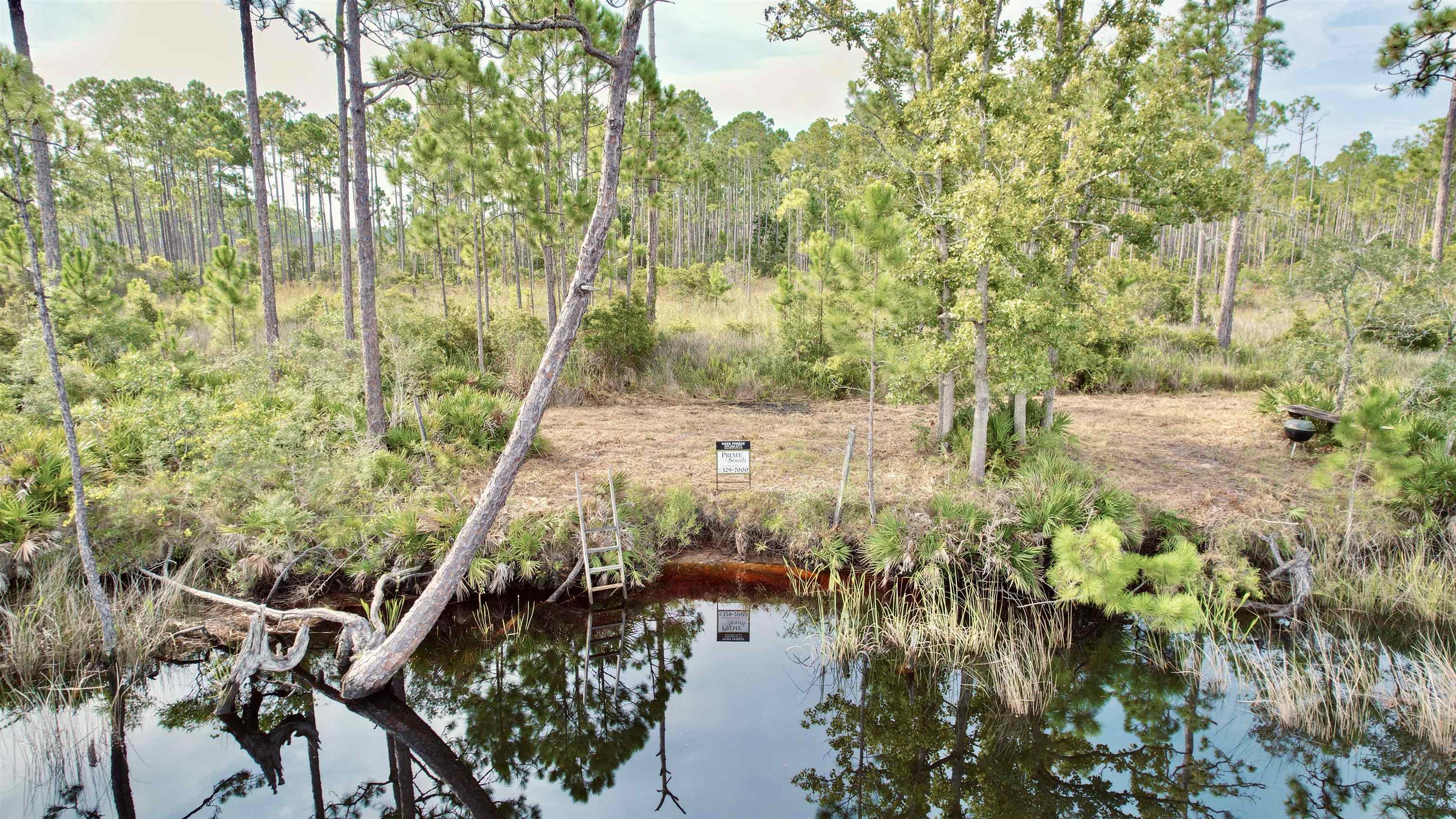 XX Mill Road, CARRABELLE, Florida image 7