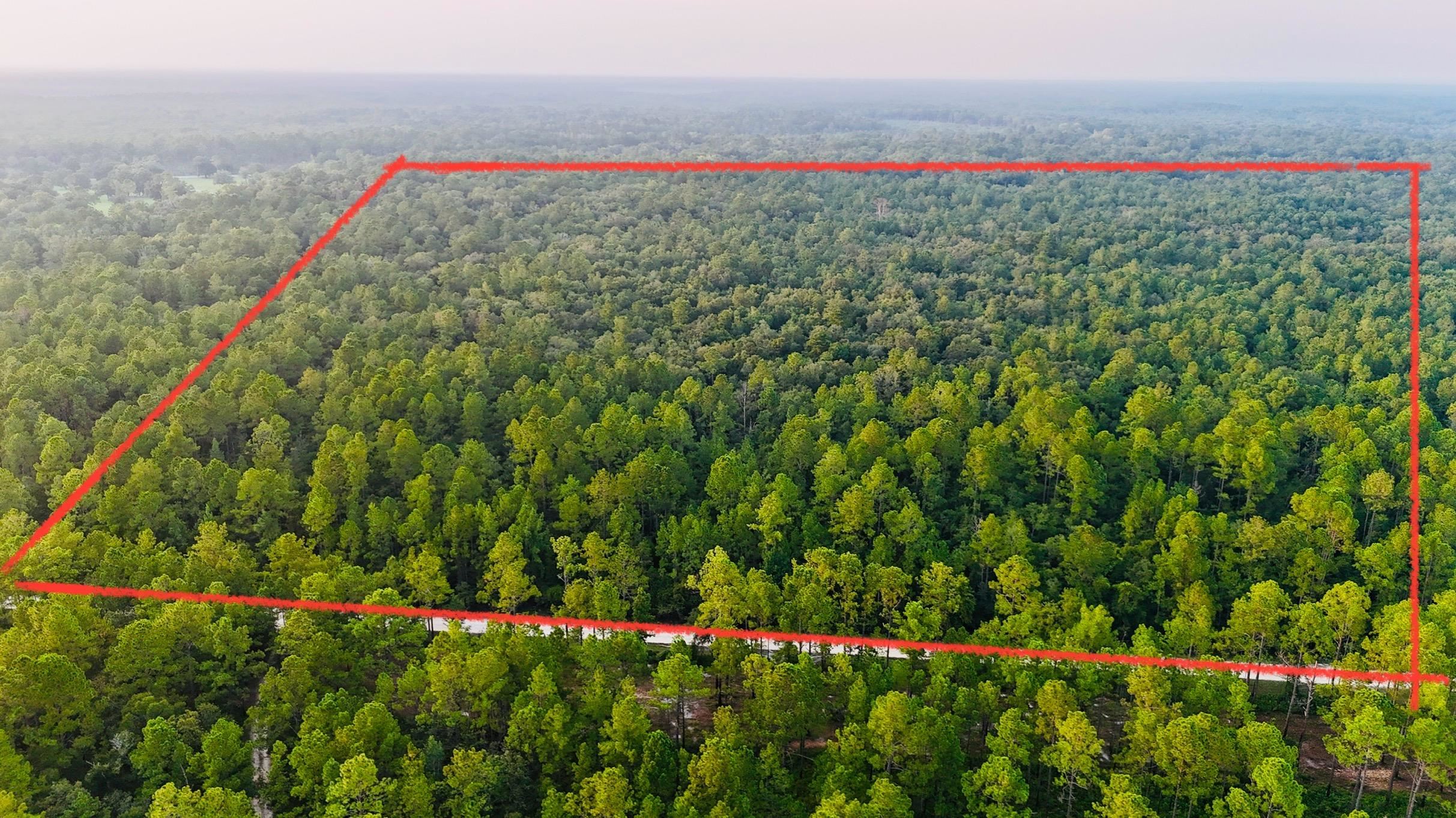 Lot # 4 Hunters Trace, Crawfordville, Florida image 1