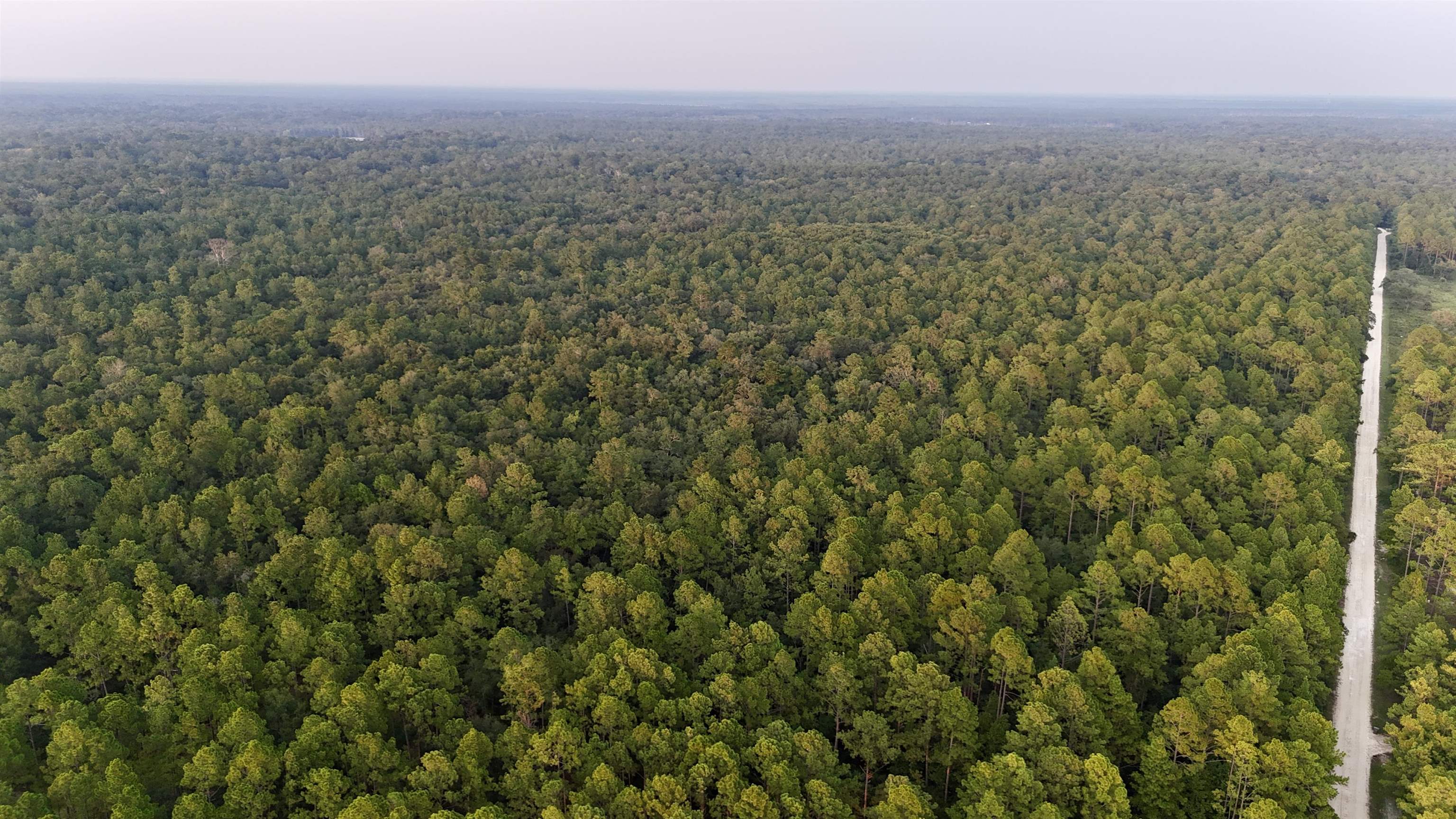 Lot # 4 Hunters Trace, Crawfordville, Florida image 10