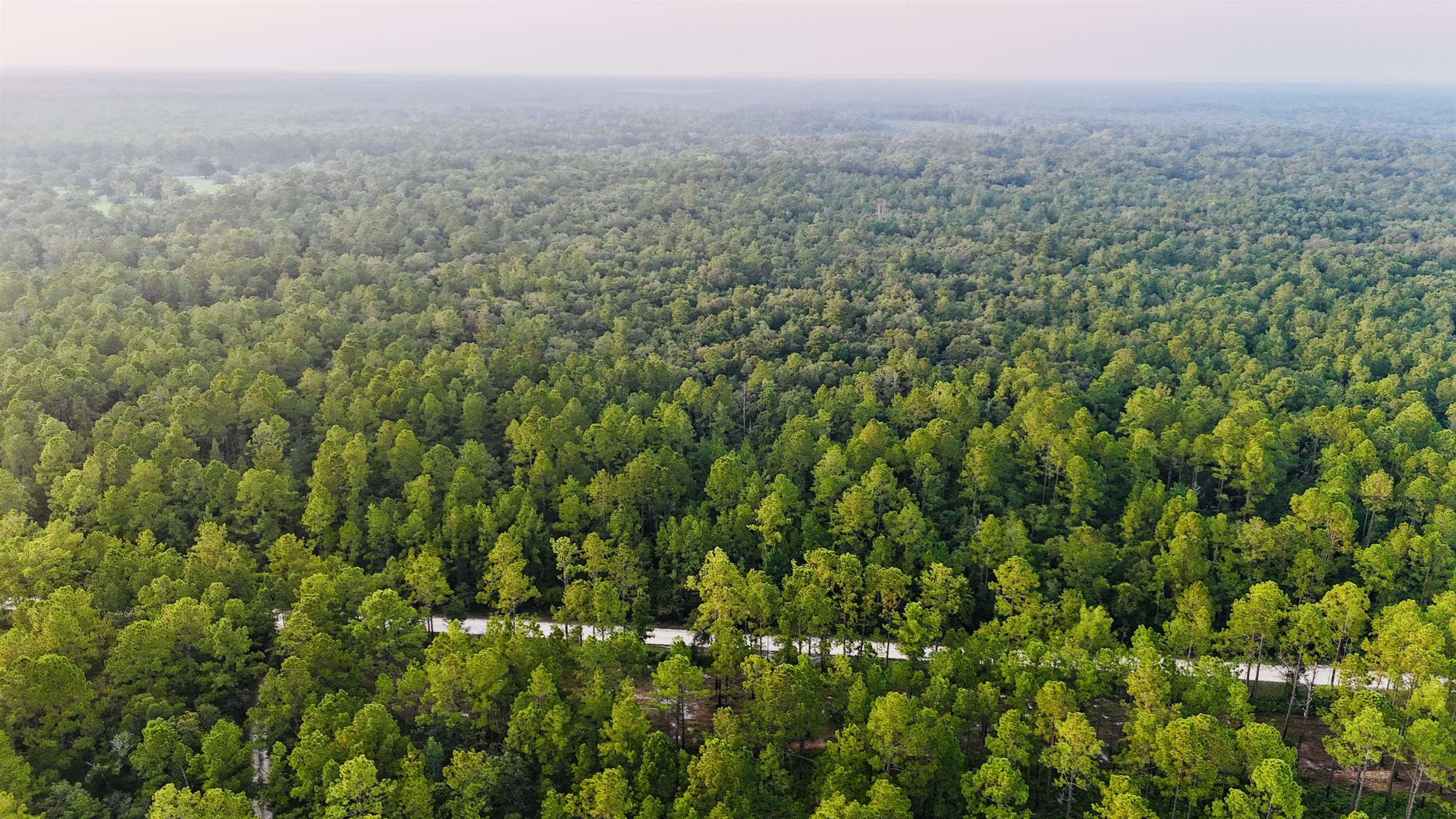 Lot # 4 Hunters Trace, Crawfordville, Florida image 12