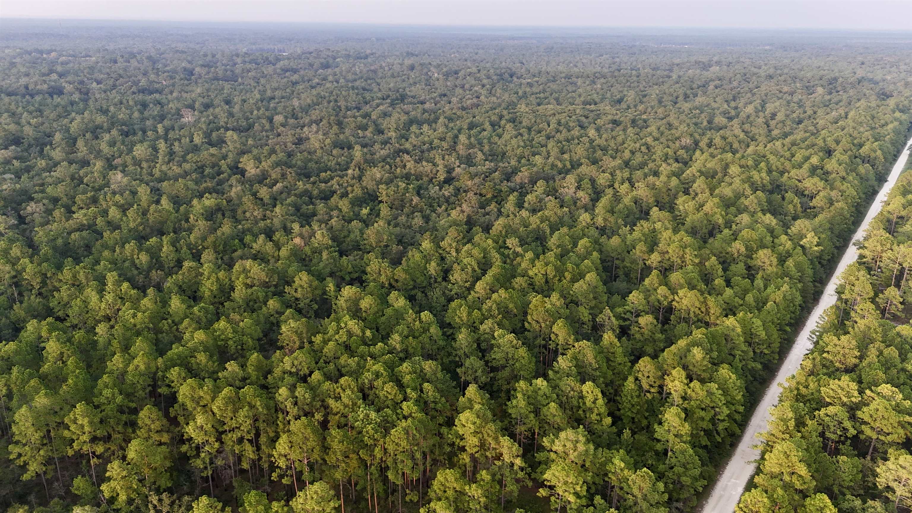 Lot # 4 Hunters Trace, Crawfordville, Florida image 16