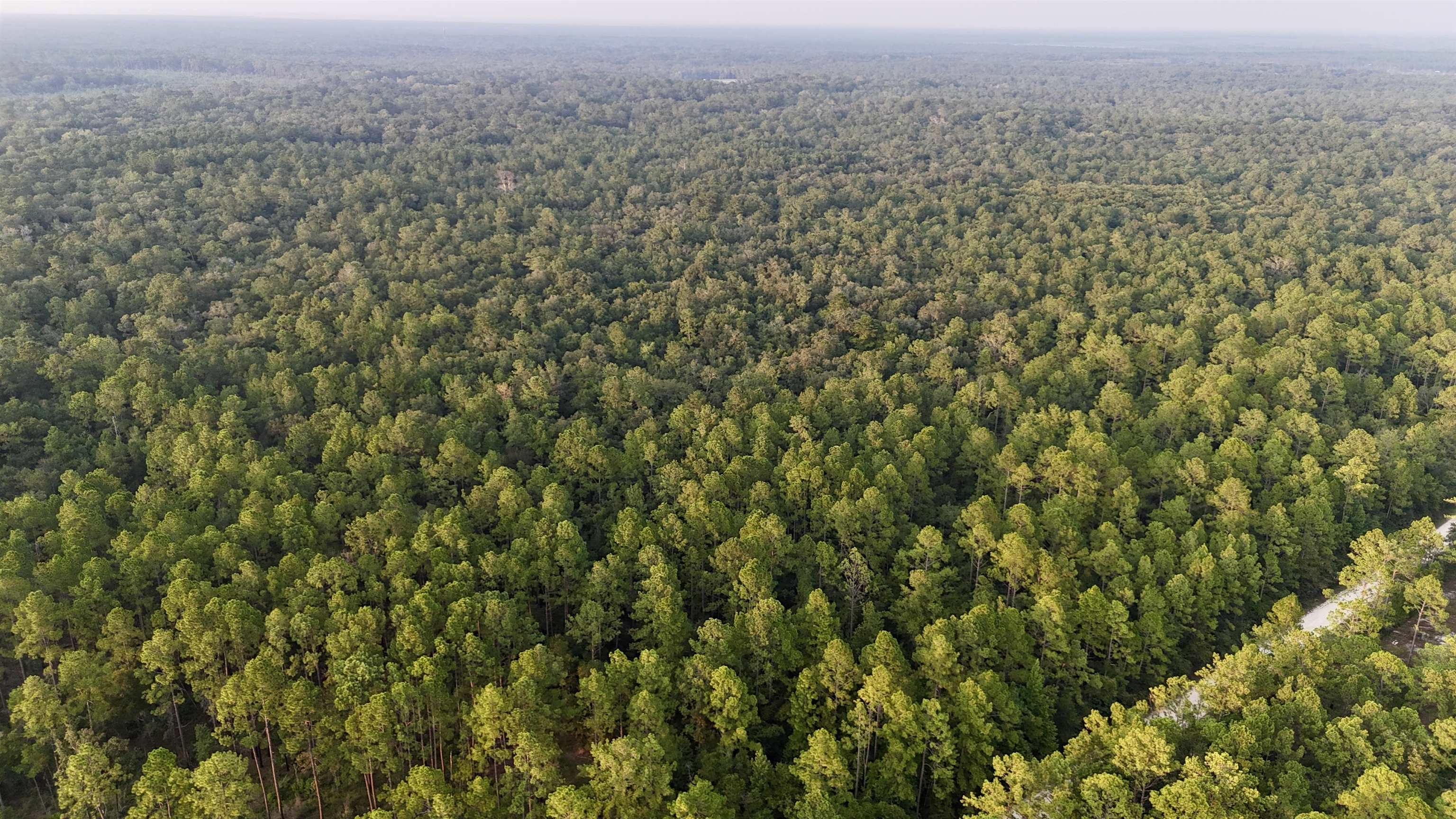 Lot # 4 Hunters Trace, Crawfordville, Florida image 19