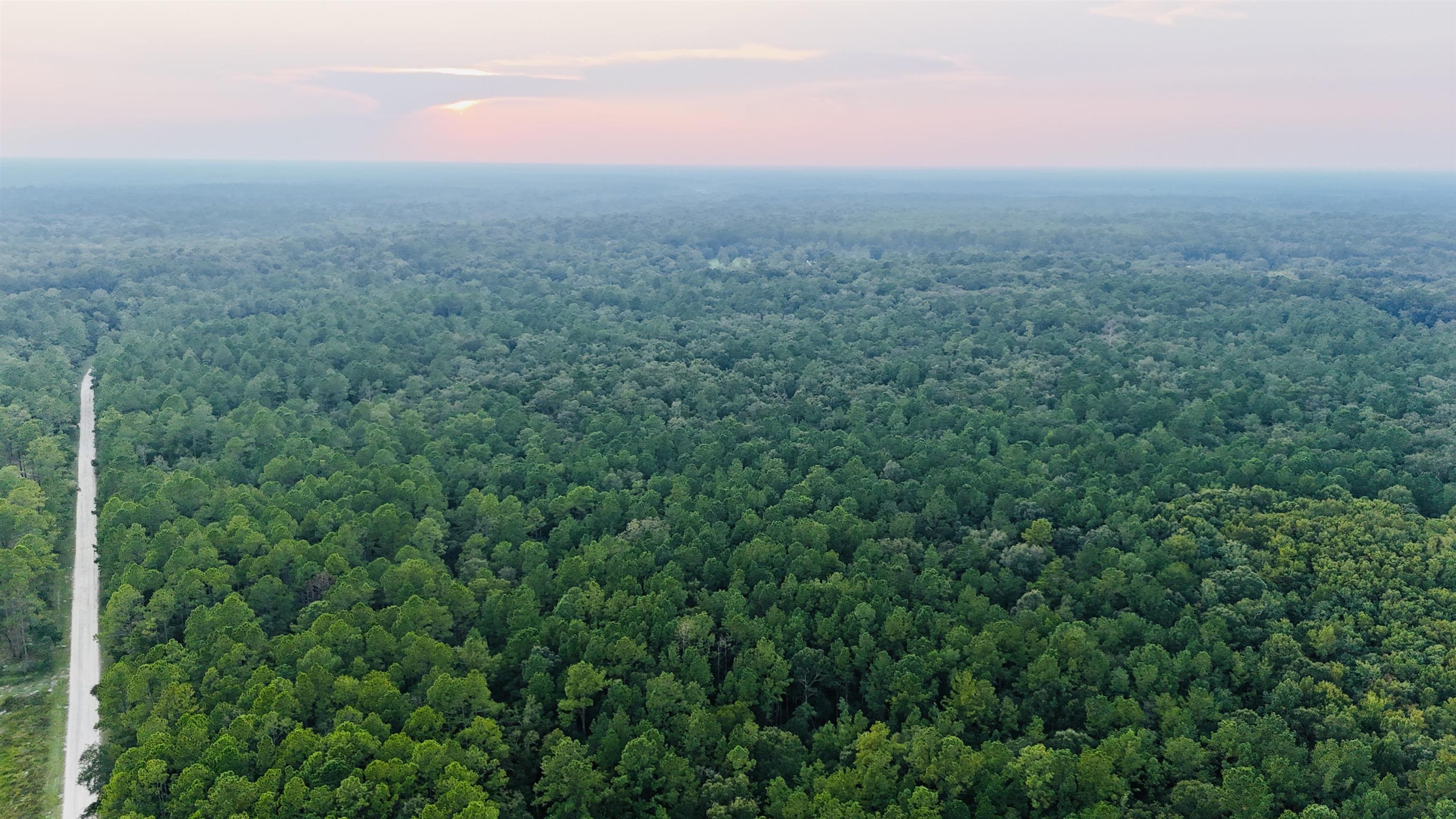 Lot # 4 Hunters Trace, Crawfordville, Florida image 20