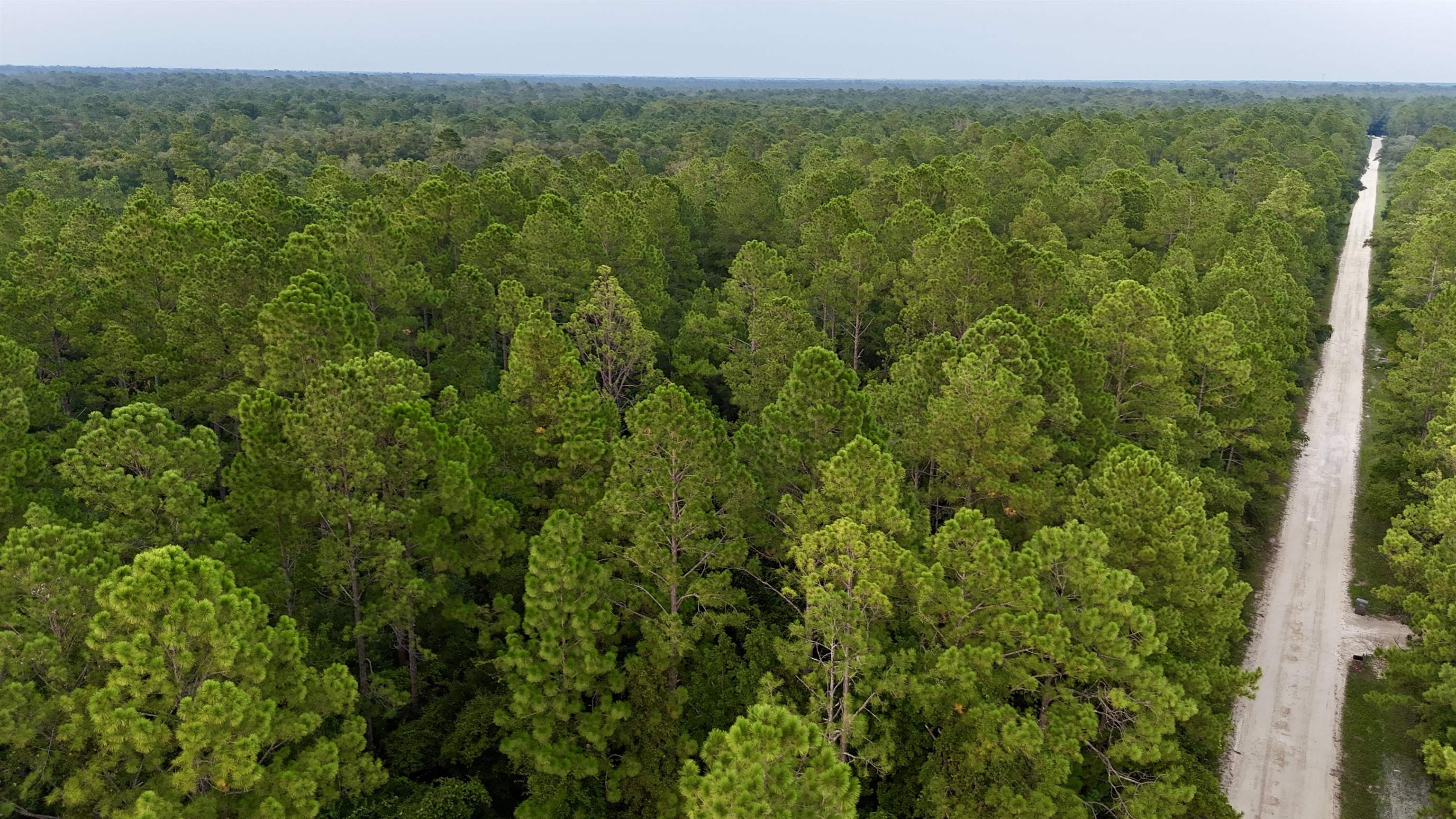 Lot # 4 Hunters Trace, Crawfordville, Florida image 21