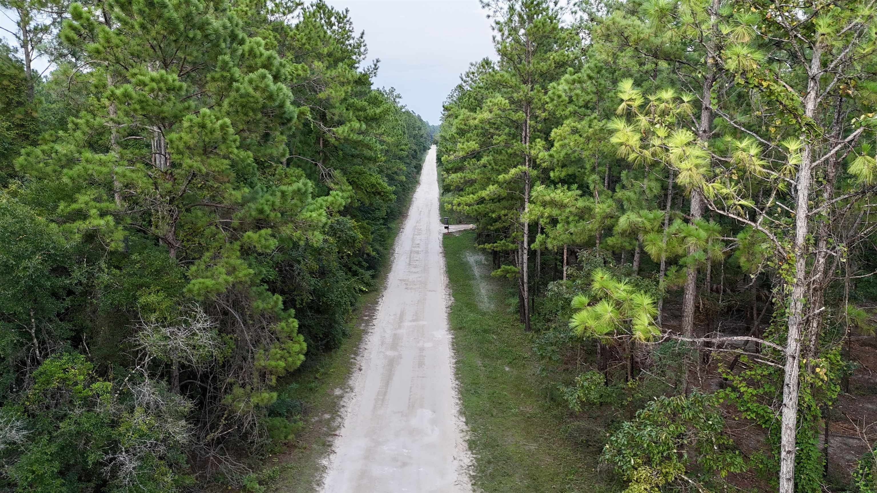 Lot # 4 Hunters Trace, Crawfordville, Florida image 23