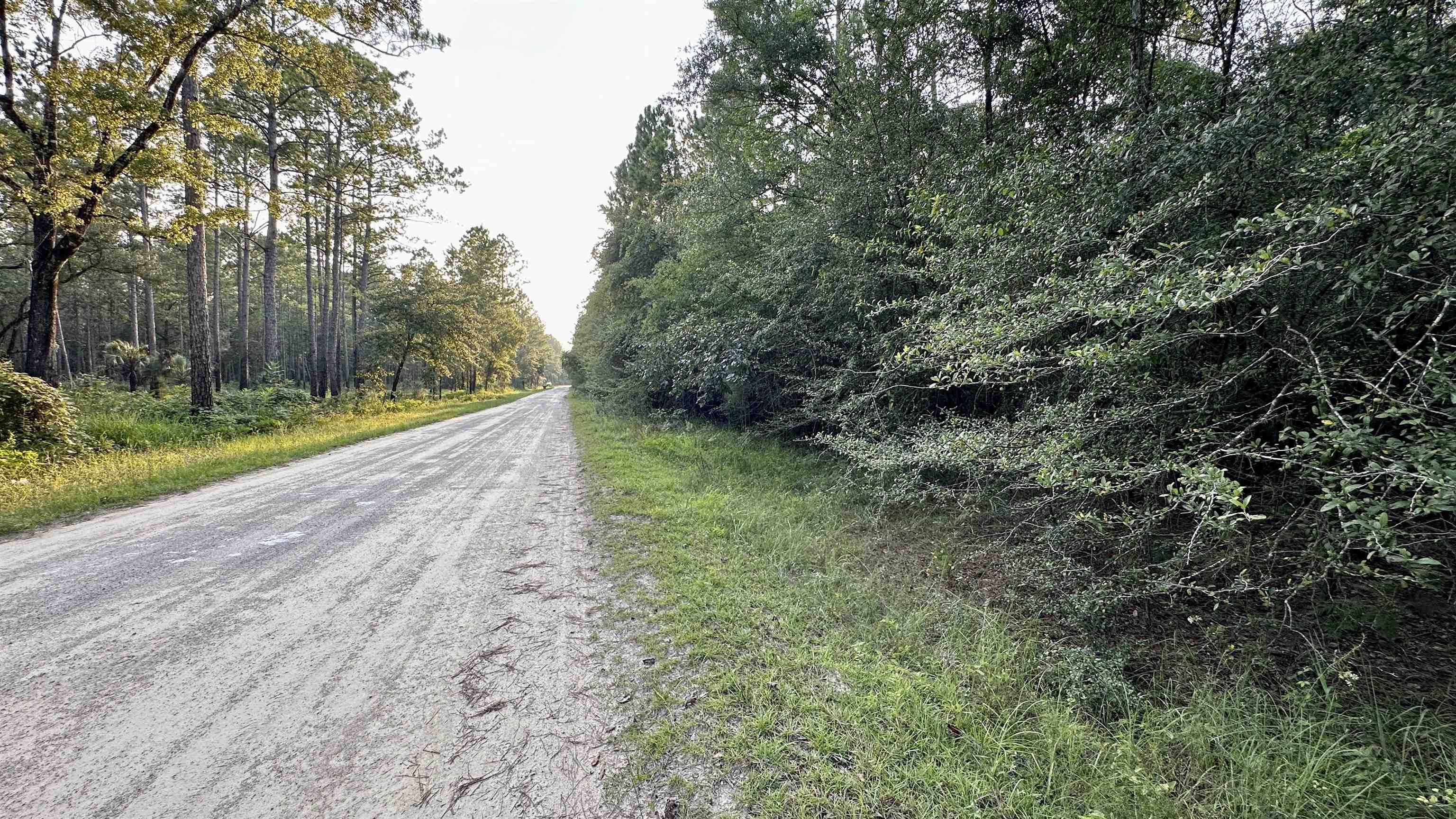 Lot # 4 Hunters Trace, Crawfordville, Florida image 33