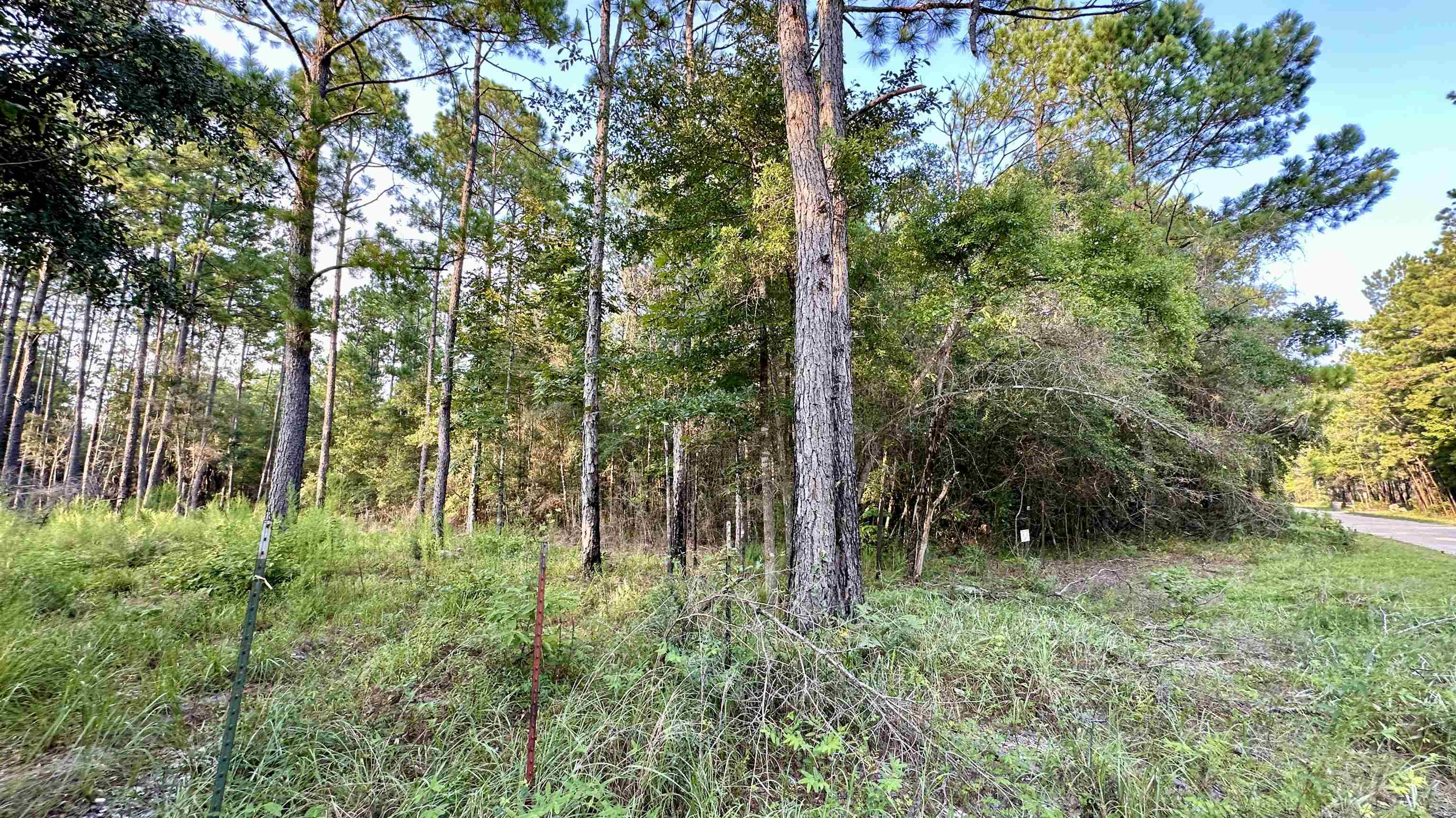 Lot # 4 Hunters Trace, Crawfordville, Florida image 34