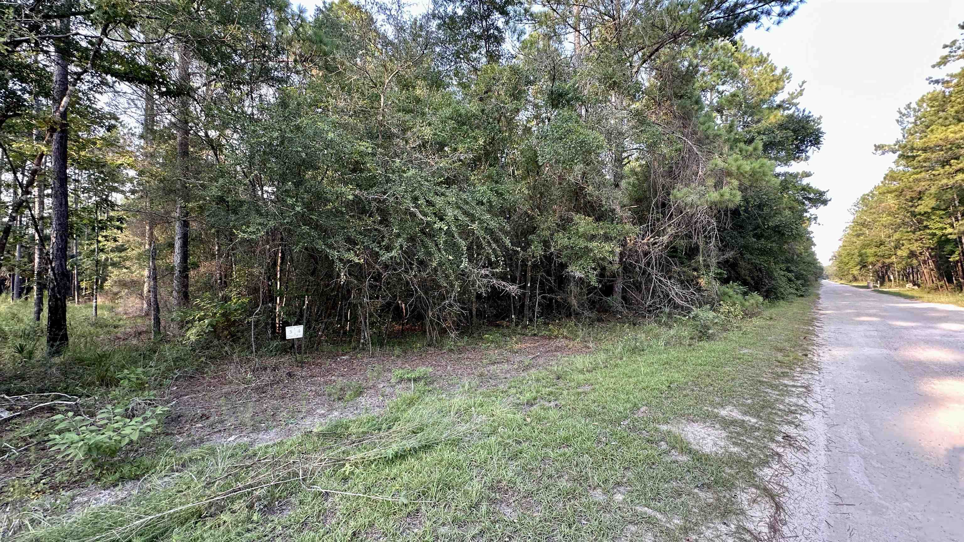 Lot # 4 Hunters Trace, Crawfordville, Florida image 37