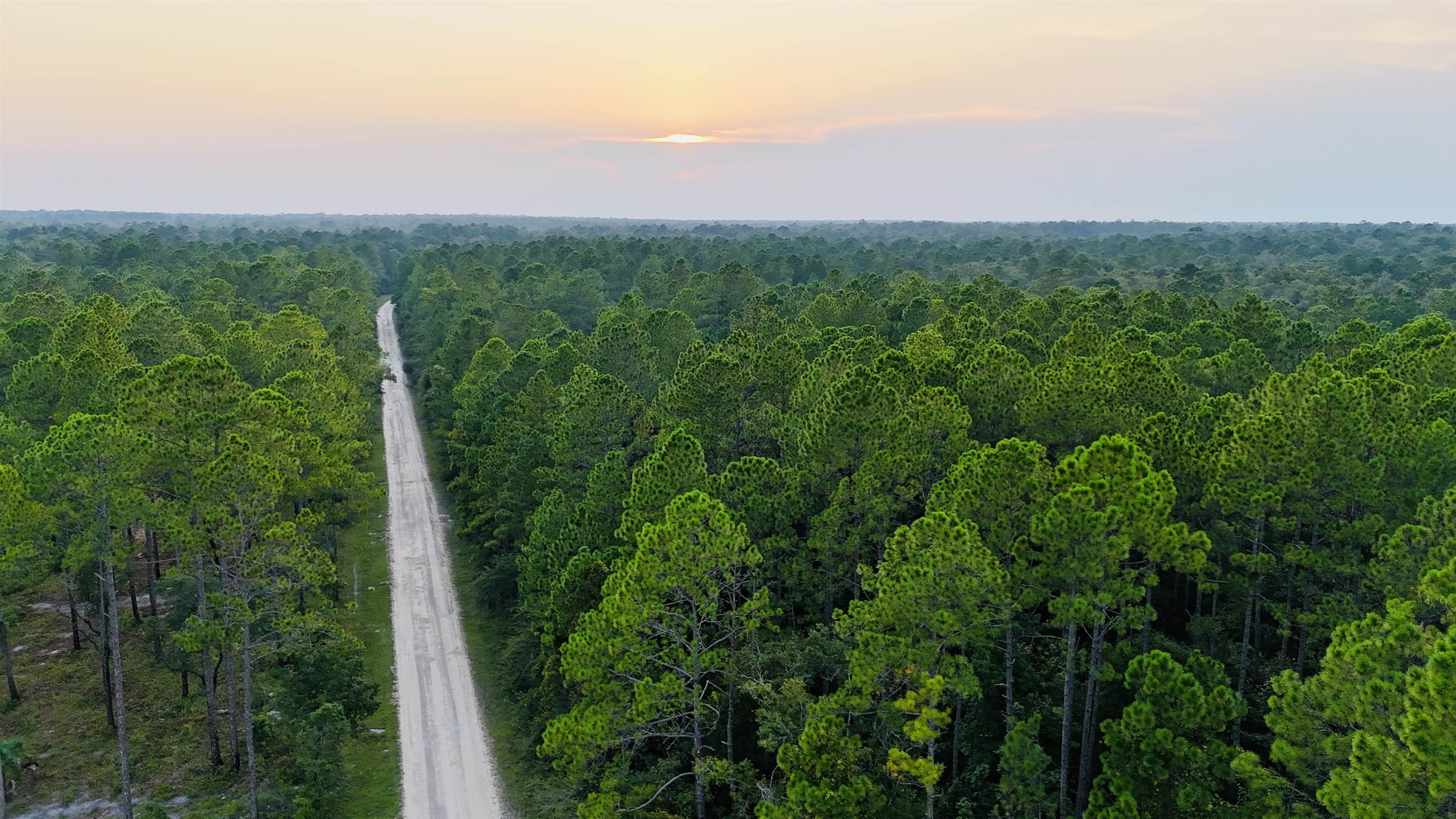 Lot # 4 Hunters Trace, Crawfordville, Florida image 7