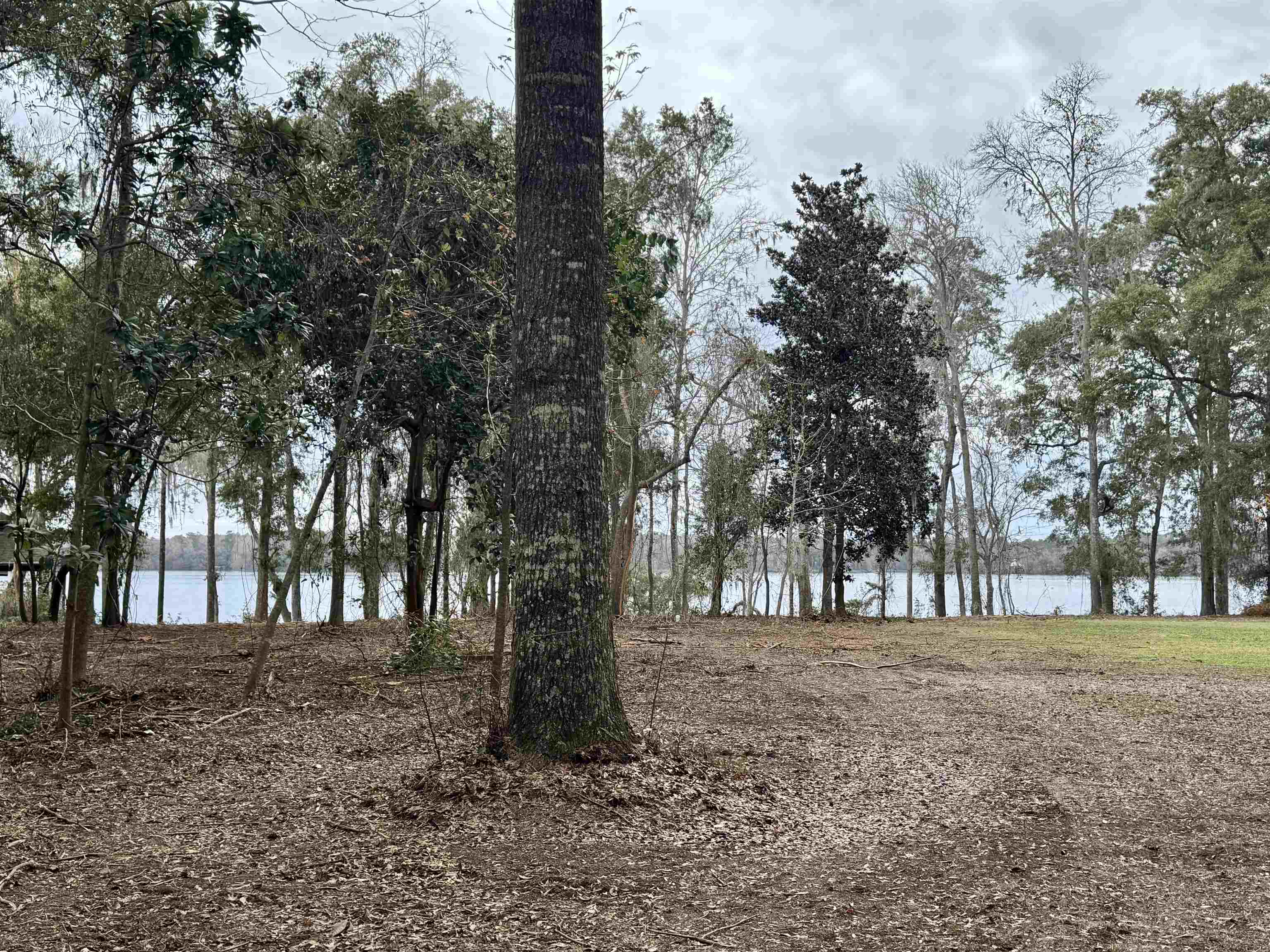 00 Parramore Shores Road, Tallahassee, Florida image 1