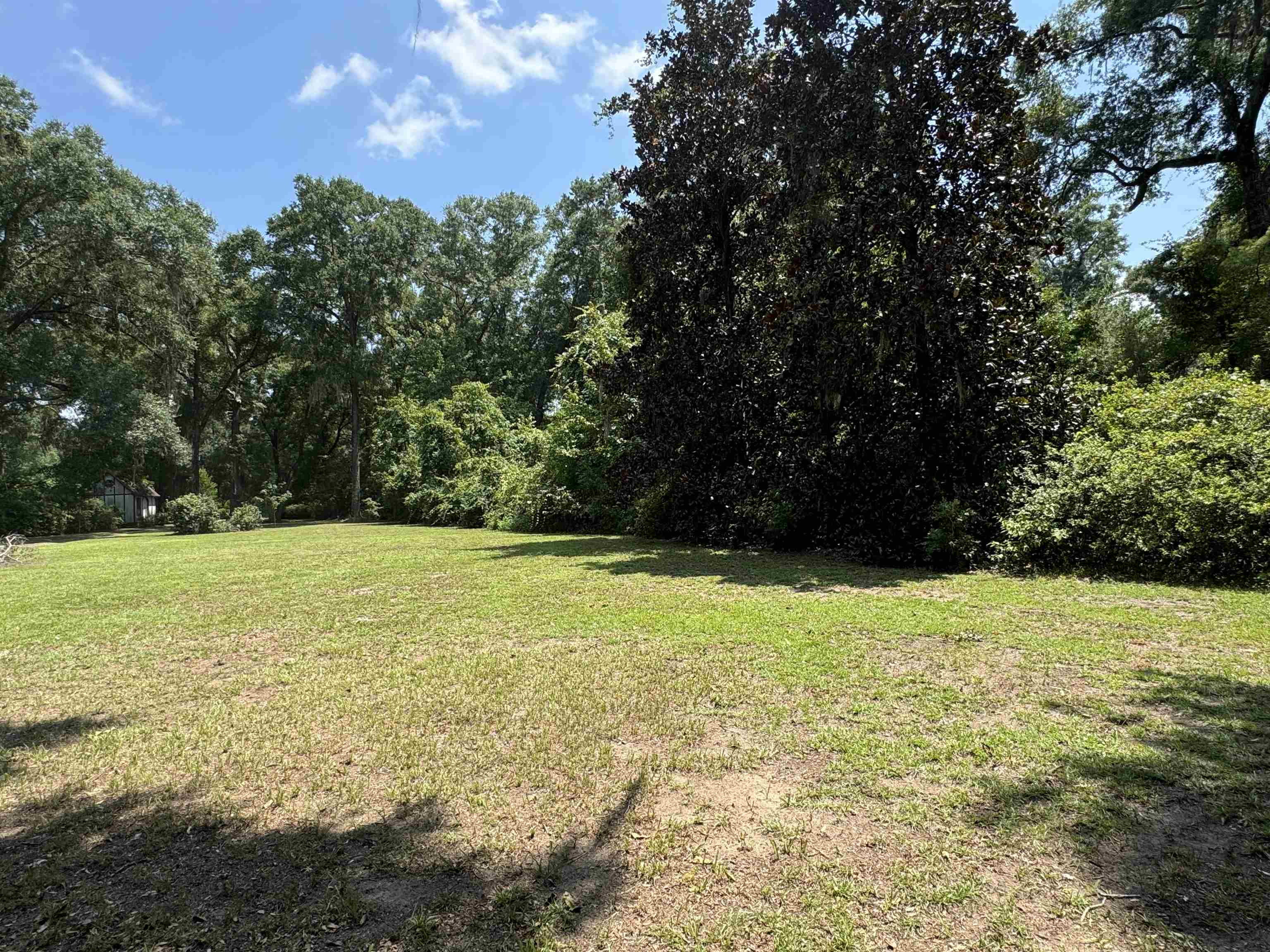 00 Parramore Shores Road, Tallahassee, Florida image 13