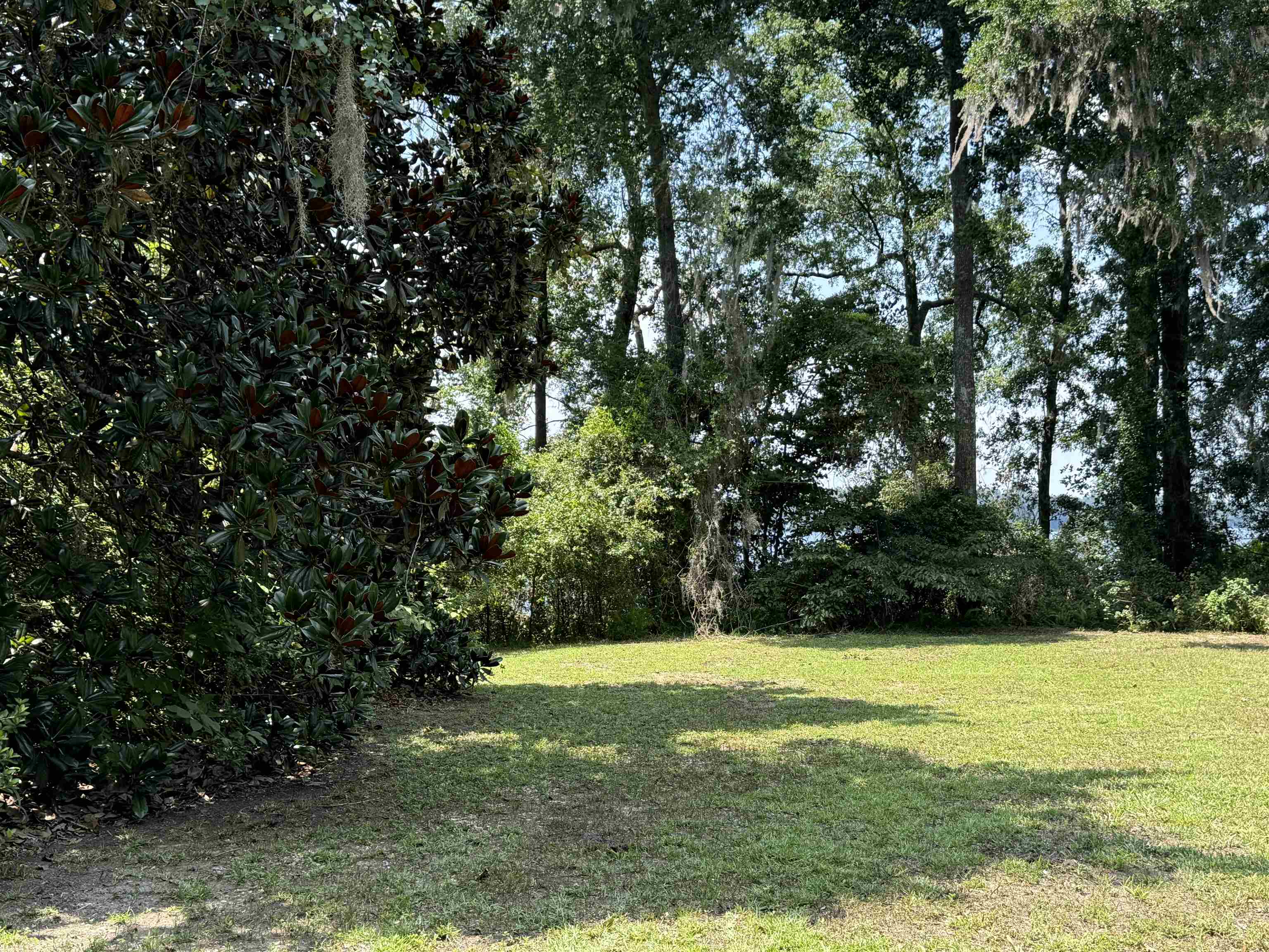 00 Parramore Shores Road, Tallahassee, Florida image 14