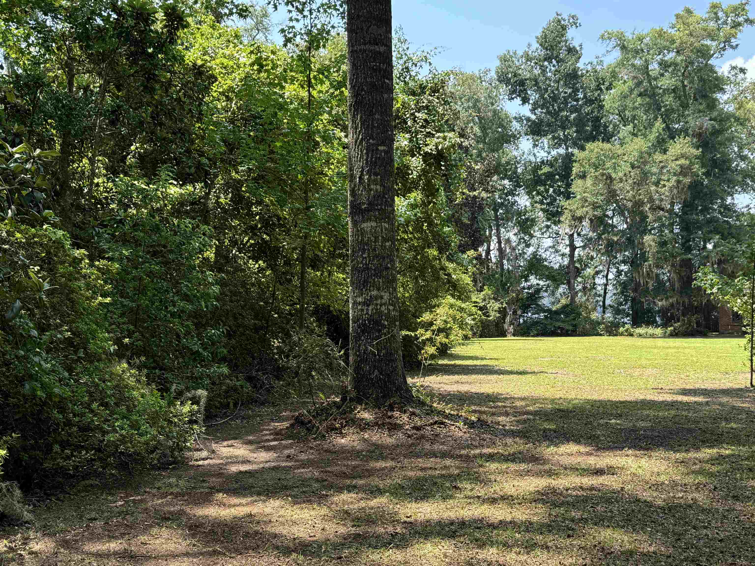 00 Parramore Shores Road, Tallahassee, Florida image 24