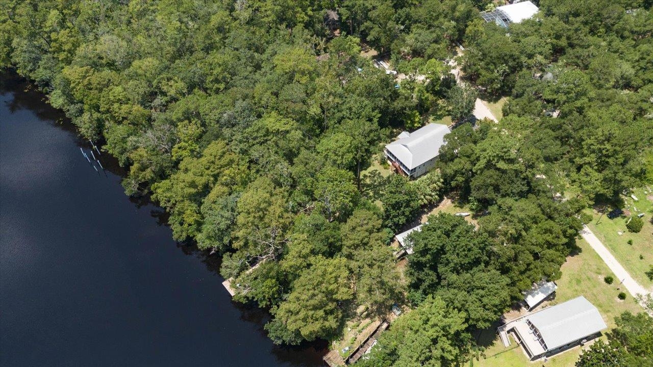 109 Mackery Woods Road, SOPCHOPPY, Florida image 39