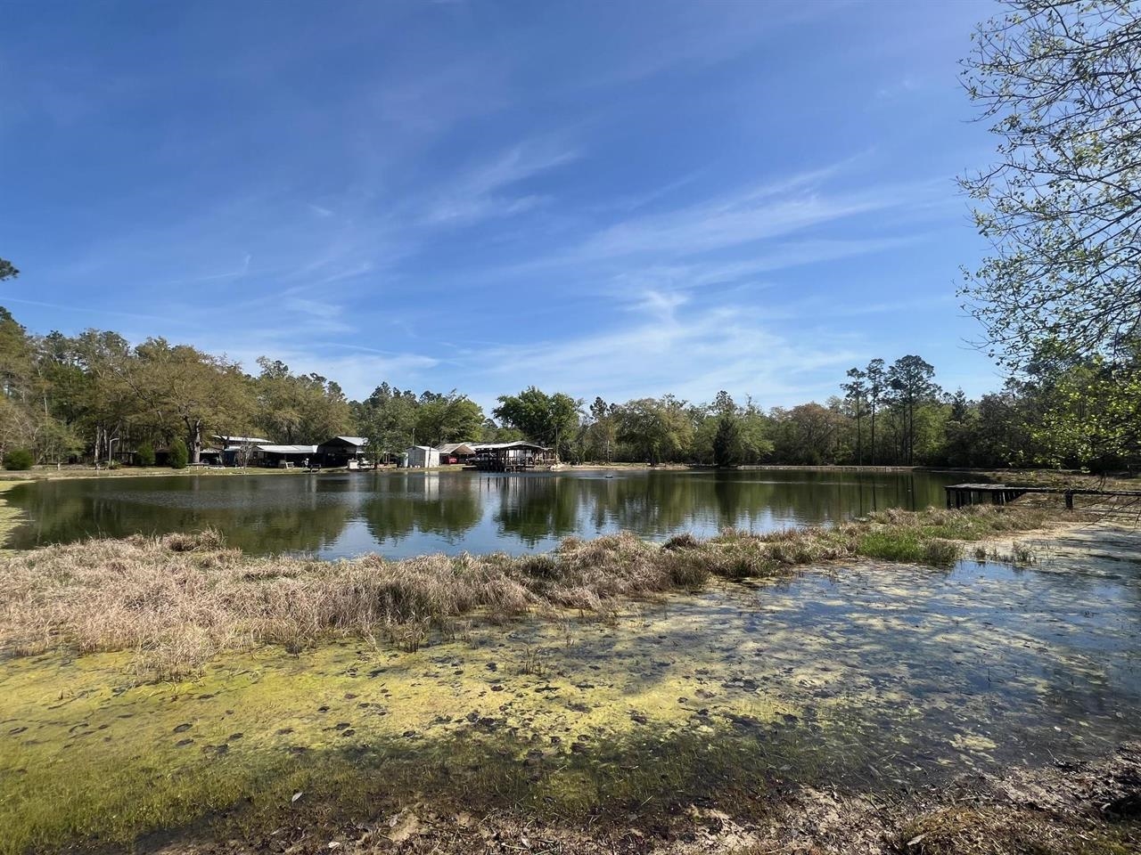 21898 NE Forest Road 103, HOSFORD, Florida image 9