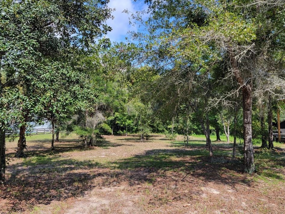 NE Sweetgum Lane, STEINHATCHEE, Florida image 10