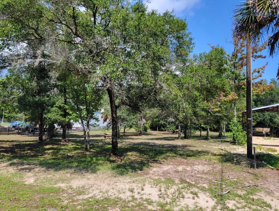 NE Sweetgum Lane, STEINHATCHEE, Florida image 11