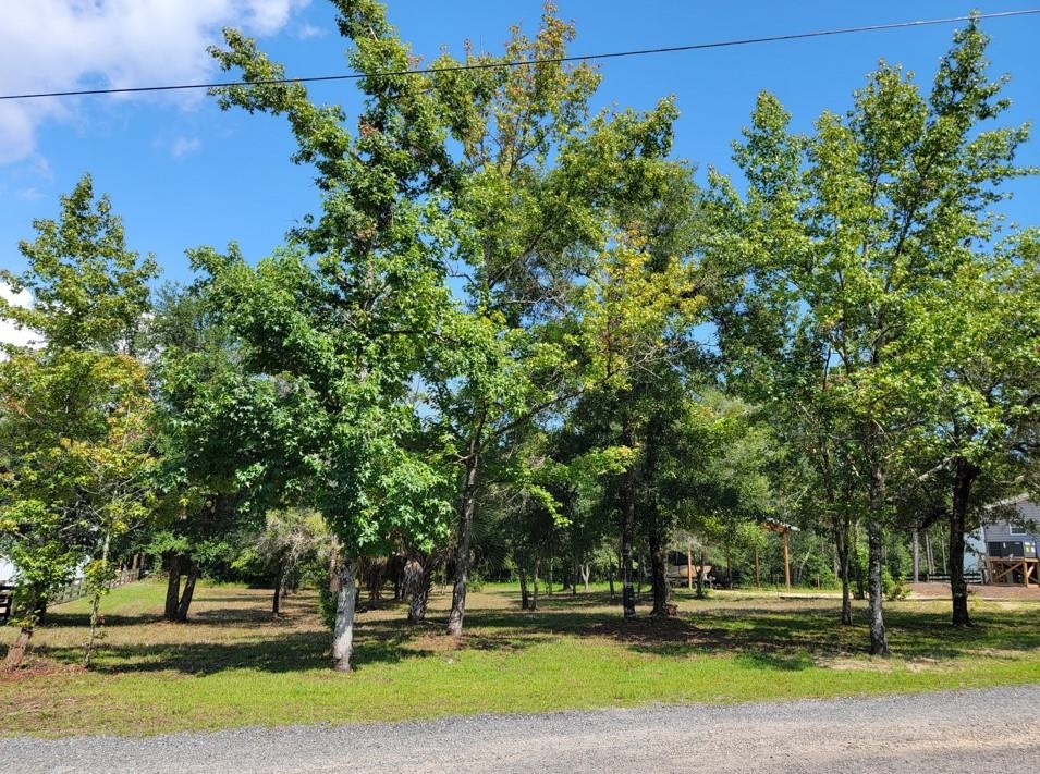 NE Sweetgum Lane, STEINHATCHEE, Florida image 12