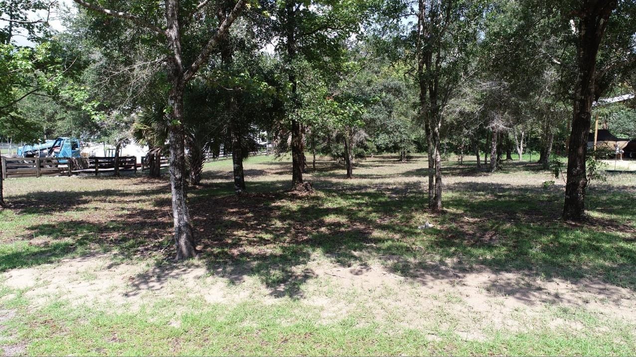 NE Sweetgum Lane, STEINHATCHEE, Florida image 14