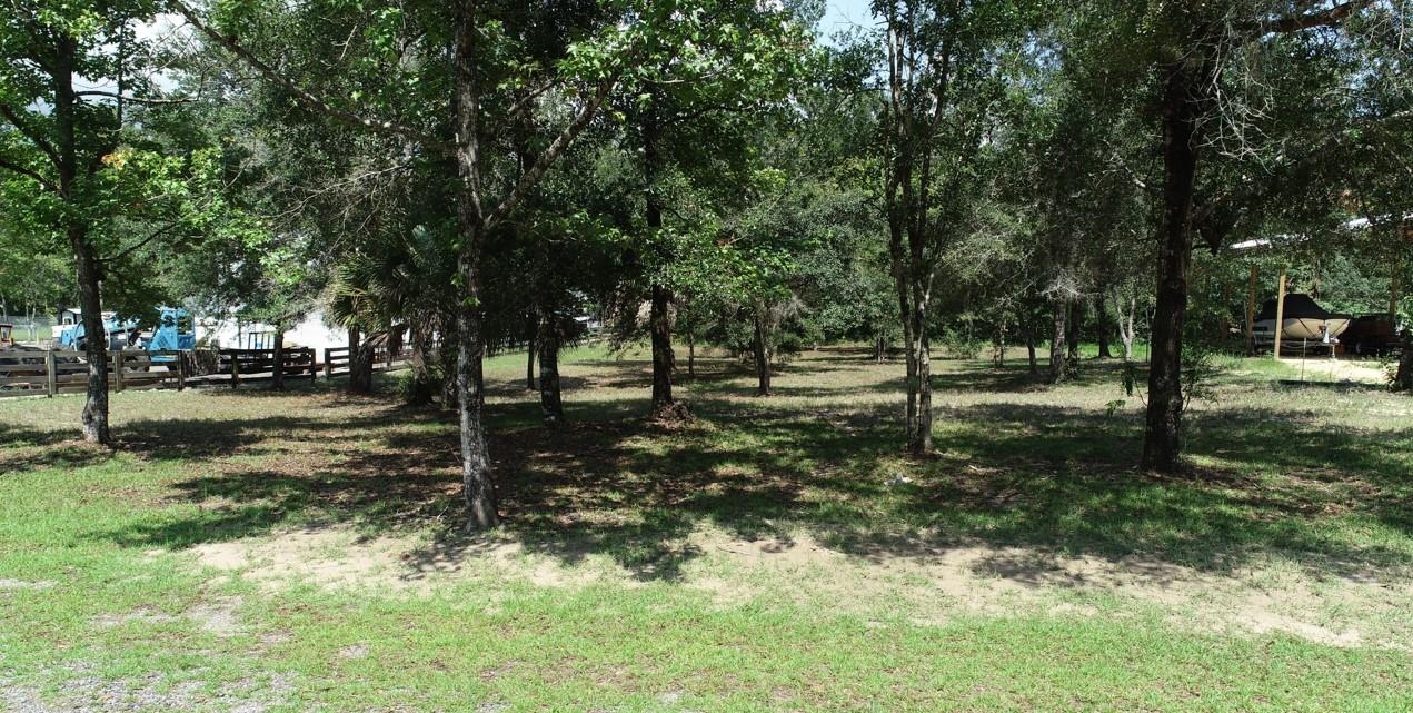 NE Sweetgum Lane, STEINHATCHEE, Florida image 15