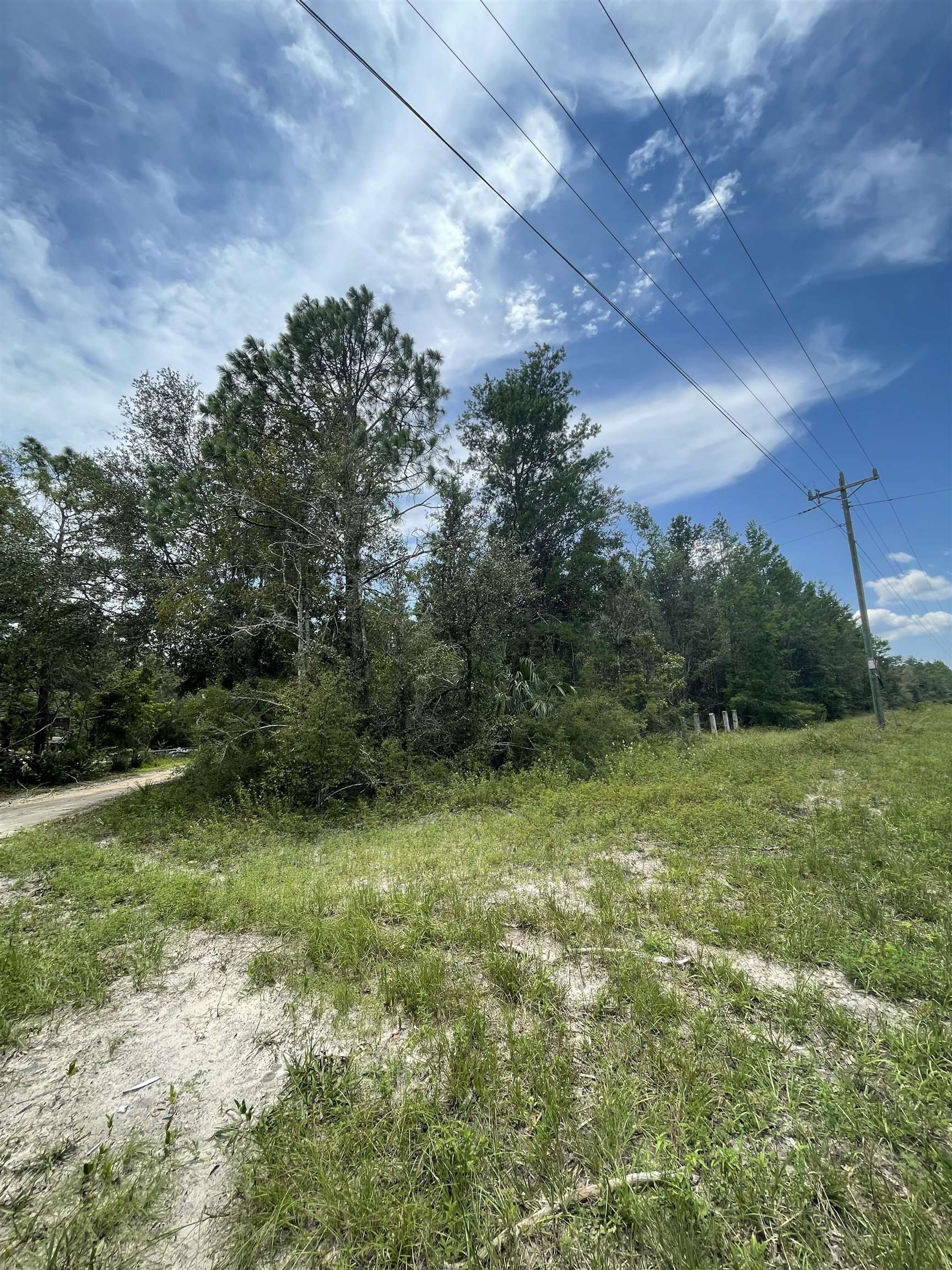 Hampton Springs Road, Perry, Florida image 1