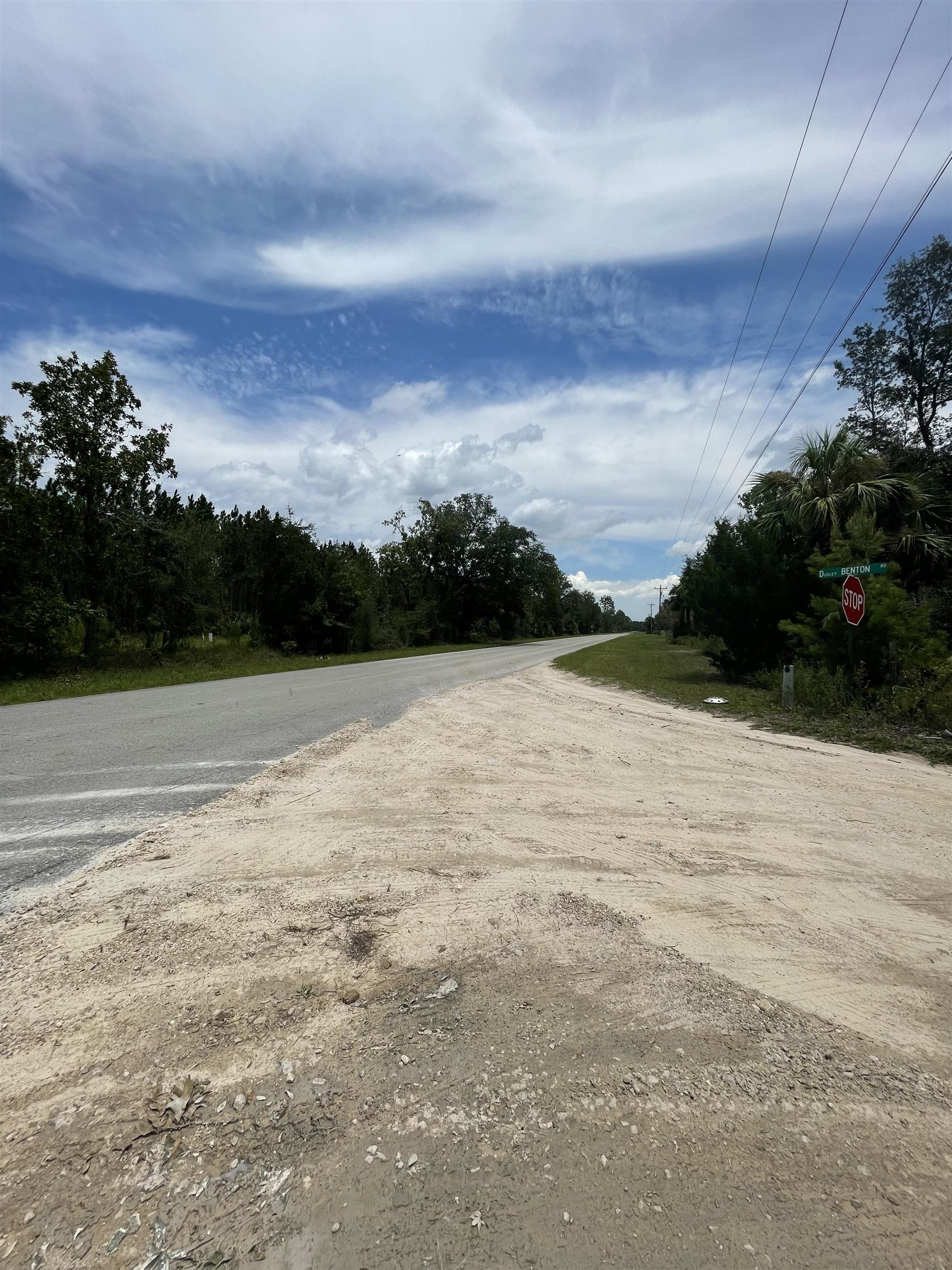 Hampton Springs Road, Perry, Florida image 3