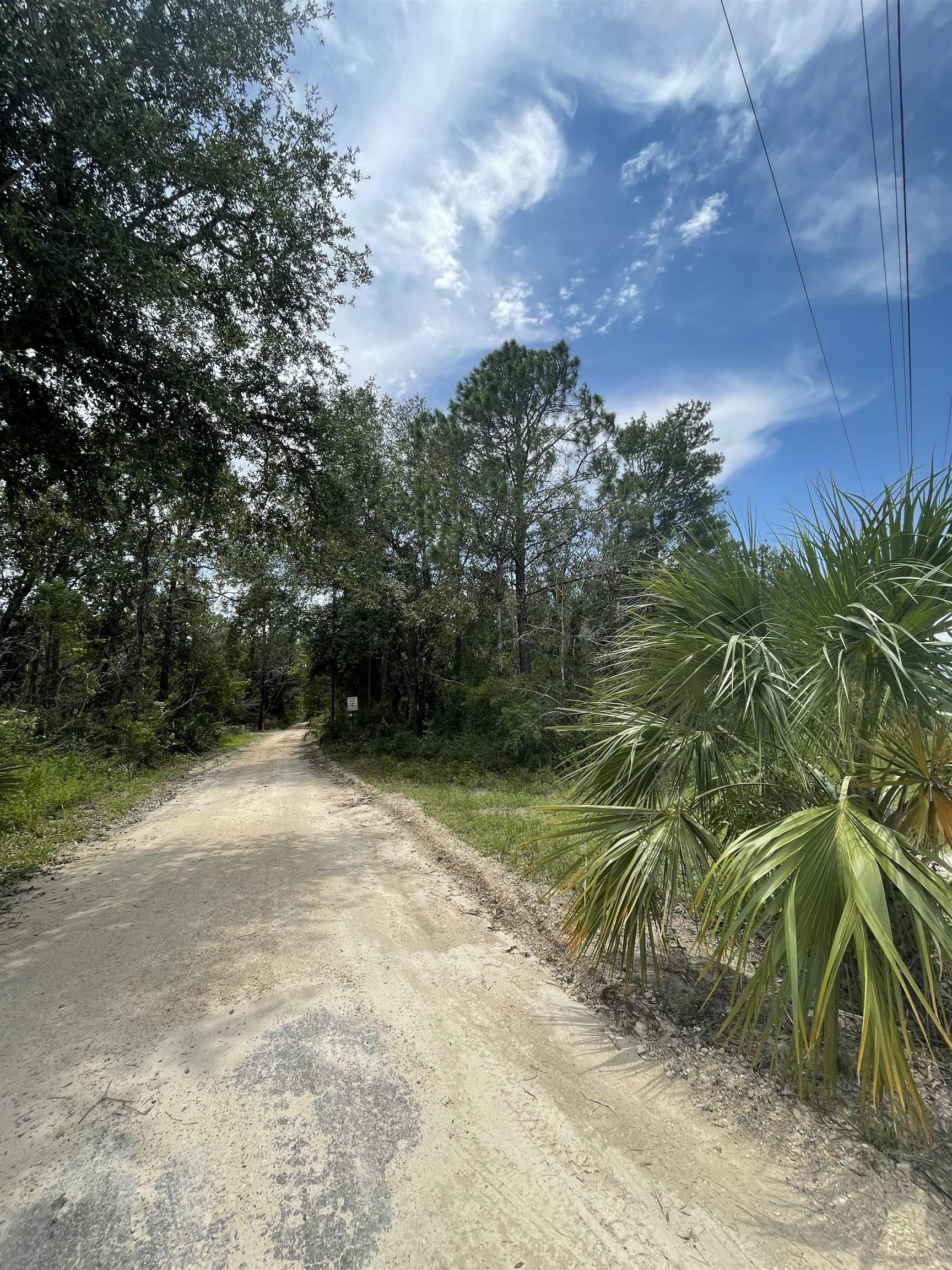 Hampton Springs Road, Perry, Florida image 4