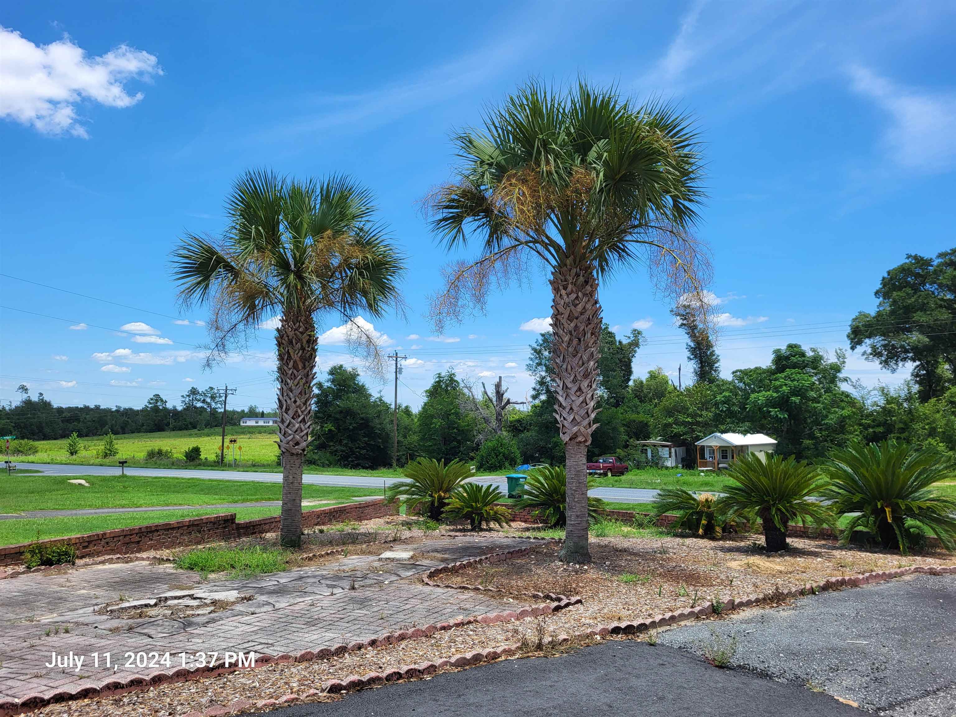 25508 NW Sr 73 Highway, Altha, Florida image 30